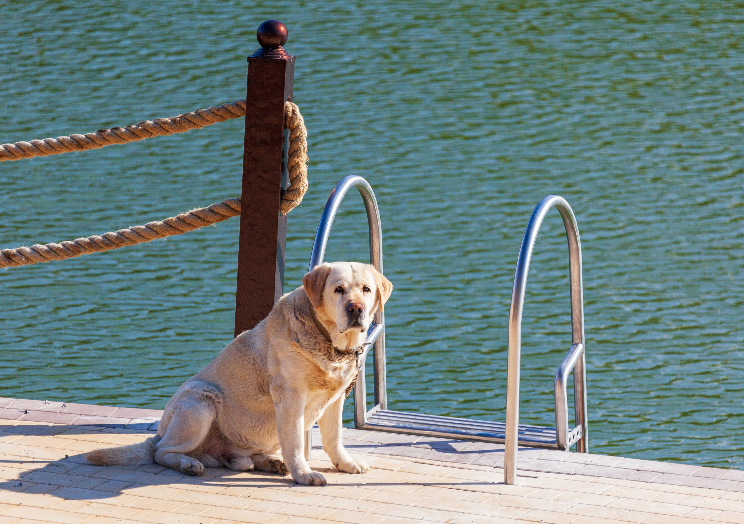Тропинки детства. Фотохудожник Артём Парамонов