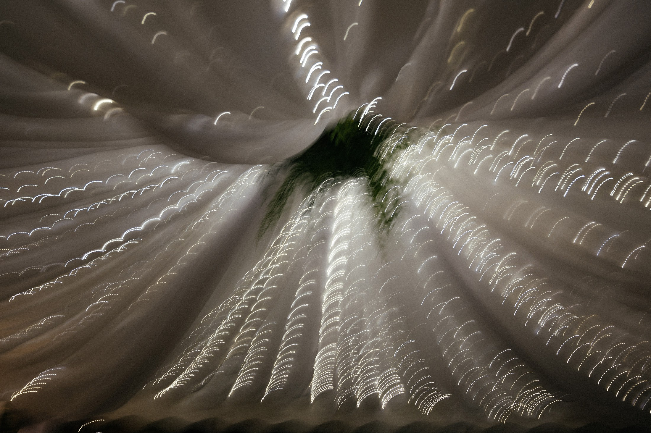 Гарик и Аня. Свадебный и семейный фотограф в Краснодаре Роман Моско