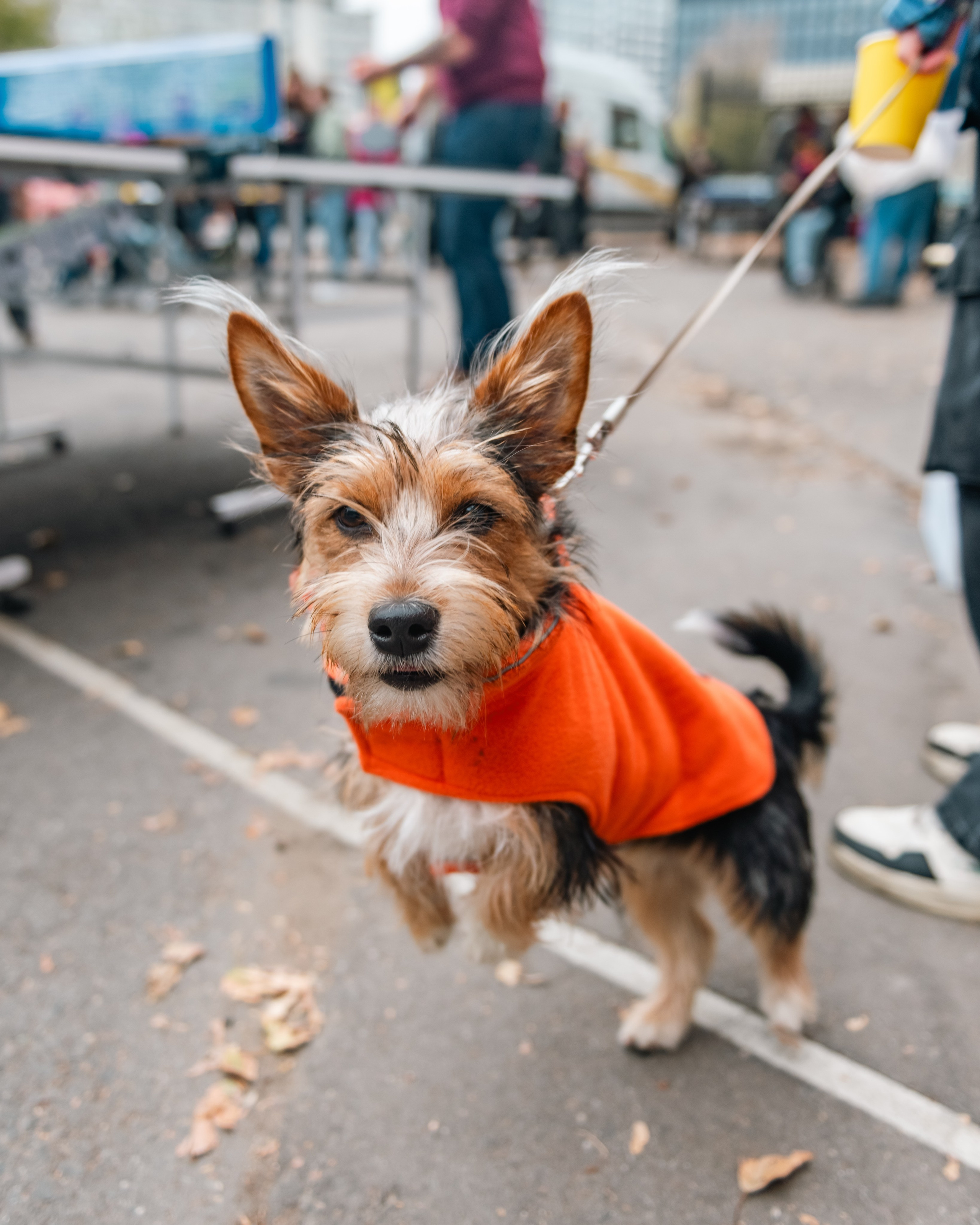 Съемка турнира по настольному теннису в НКО «Ночлежка». Фотограф в Москве. Шахабудин
