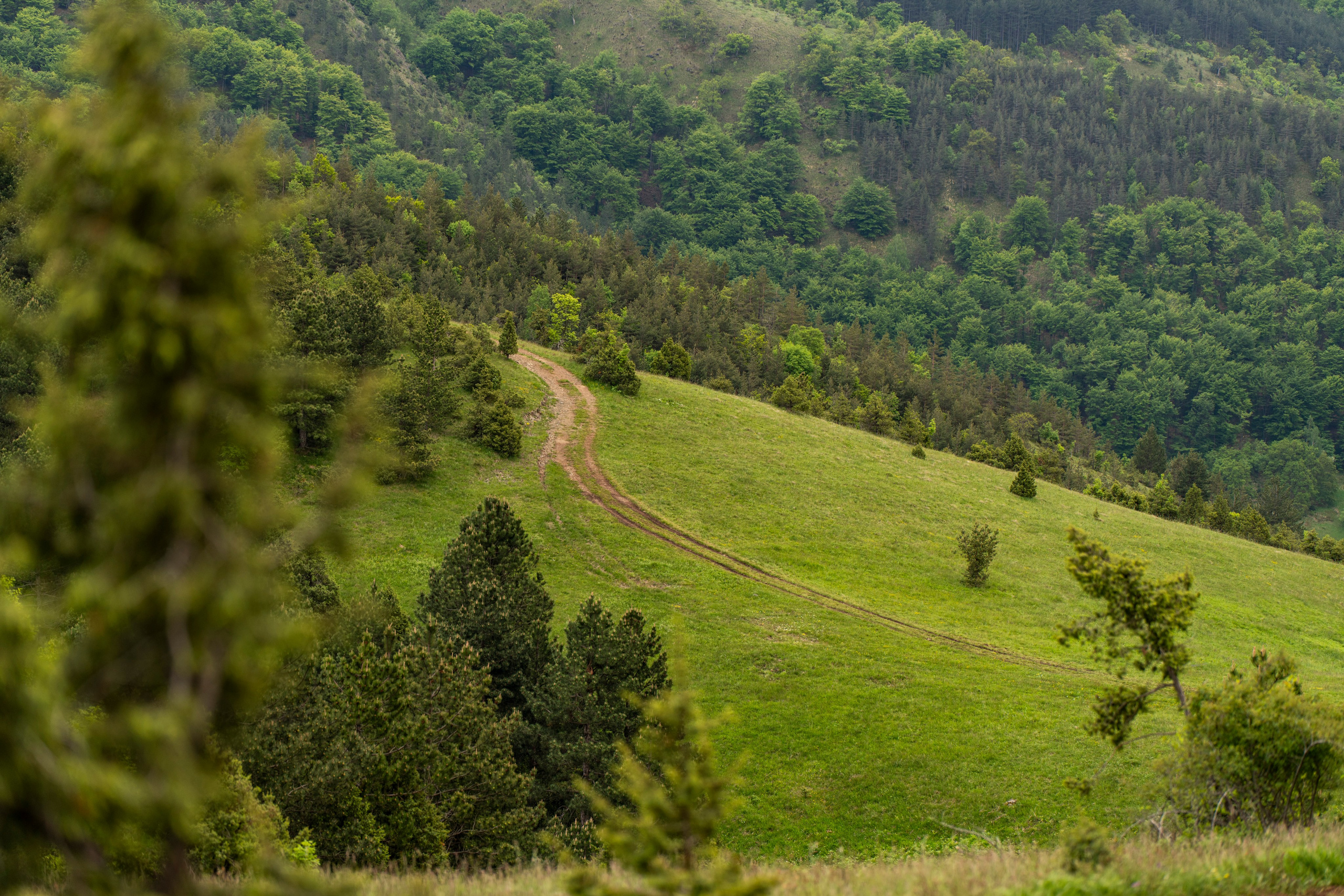 Столови. Сербия. Фотограф в Москве. Шахабудин