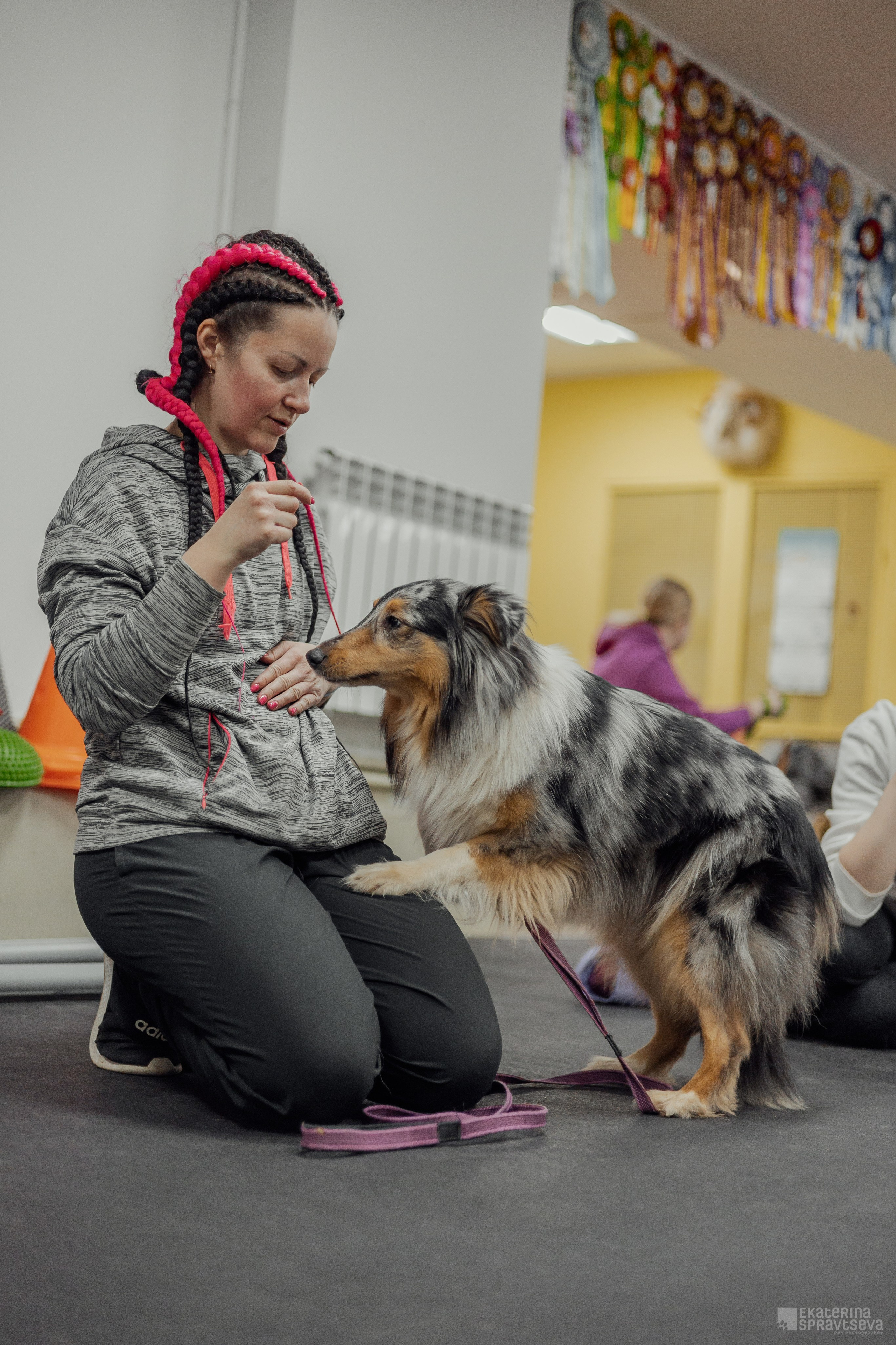 NoseWork. Фотограф Анималист Екатерина Справцева в Нижнем Новгороде