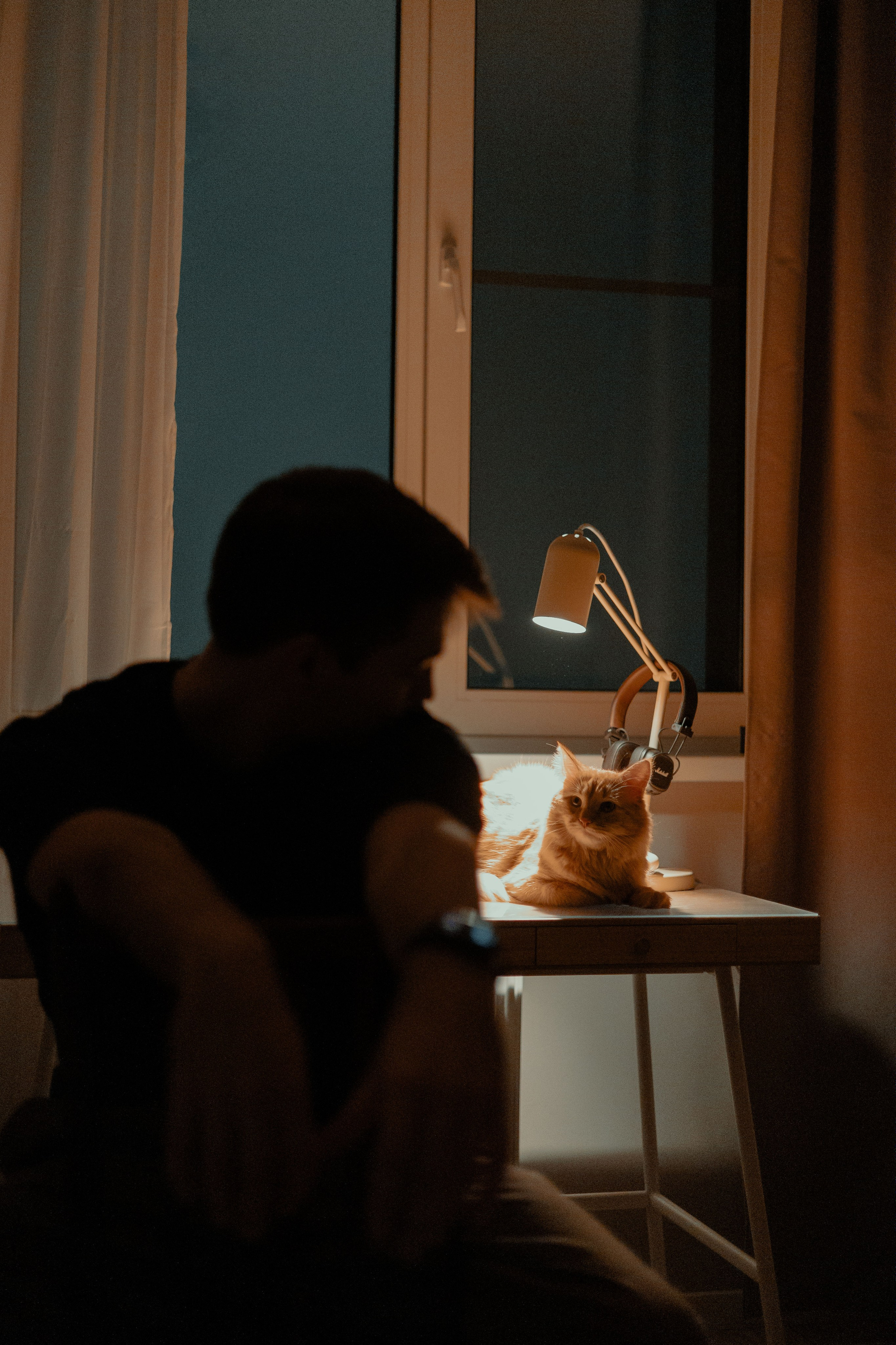 Екатерина Справцева фотограф анималист - портфолио фото. Фотограф Анималист Екатерина Справцева в Нижнем Новгороде