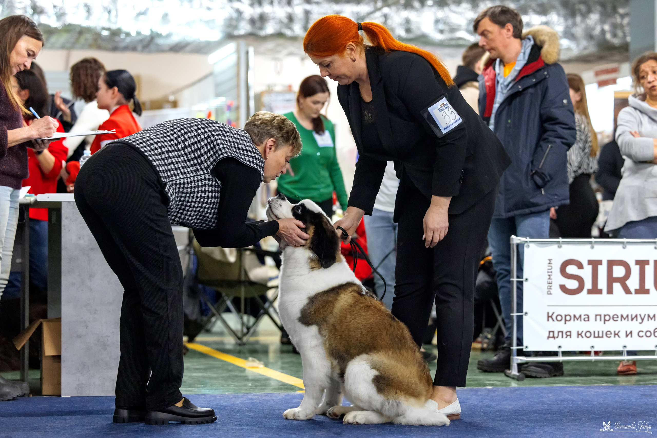 Сфера 28.01. и 4.02.2024. Фотограф-анималист Юлия Германика