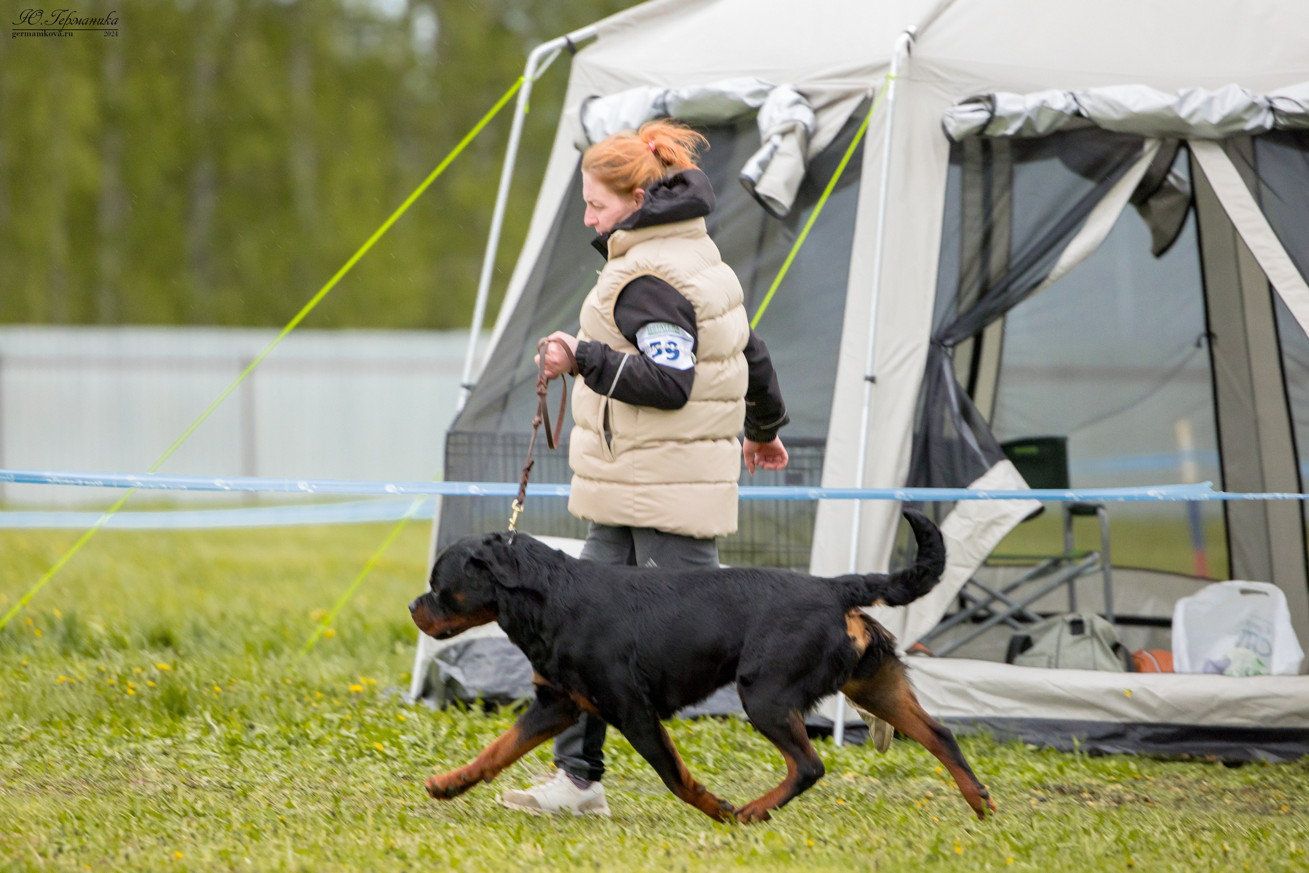 Нижний Новгород 11-12.05.2024 моно ротвейлеров. Фотограф-анималист Юлия Германика