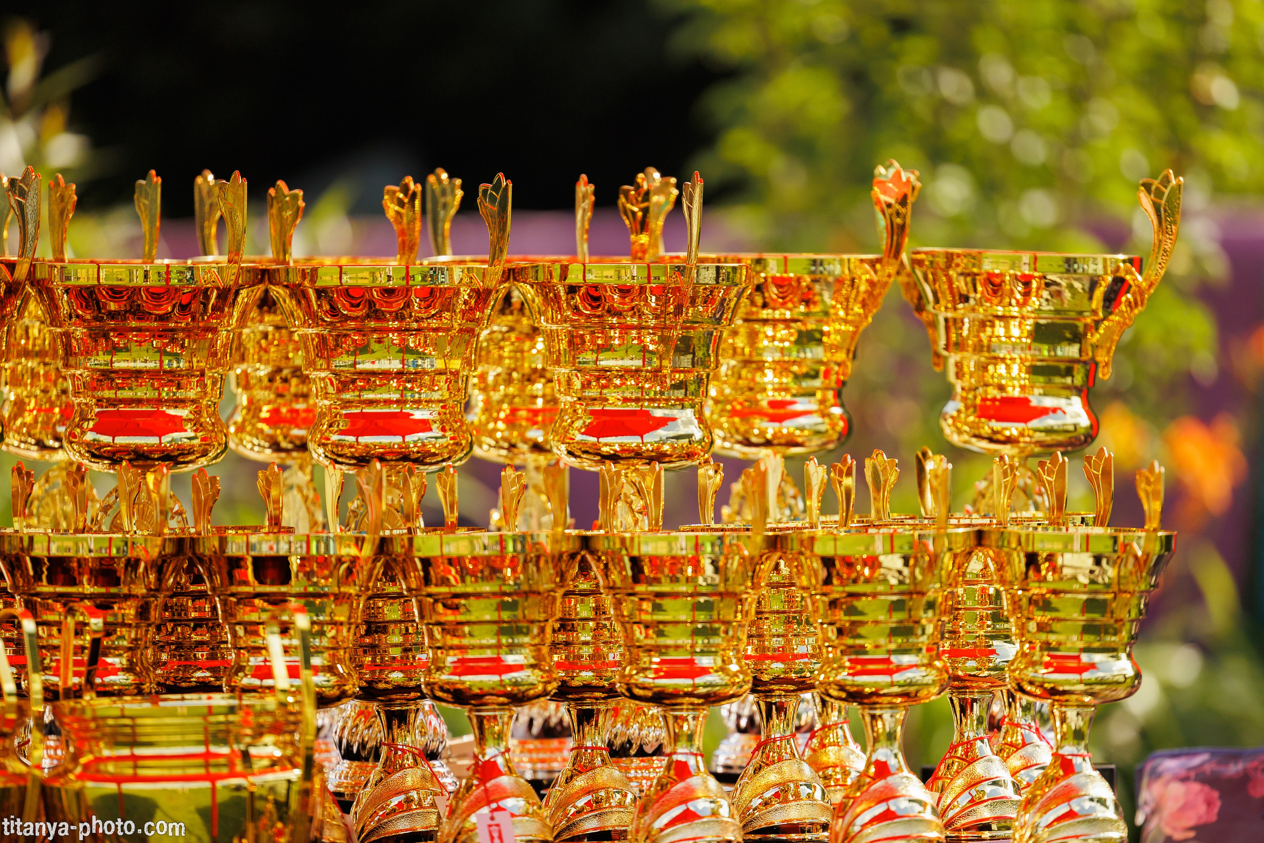 Фотографии с монопородных выставок немецких овчарок. Фотограф собак, фотограф-анималист Аня Титова (Titanya). Москва