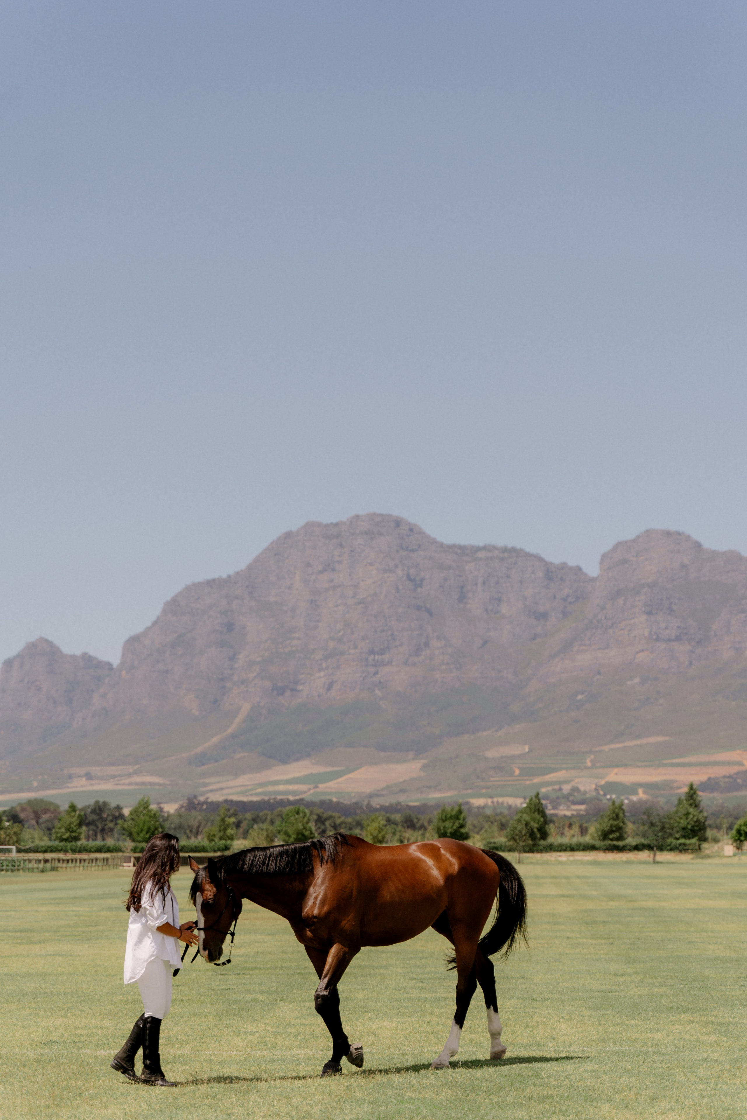 Horse riding. Фотограф в Кейптауне