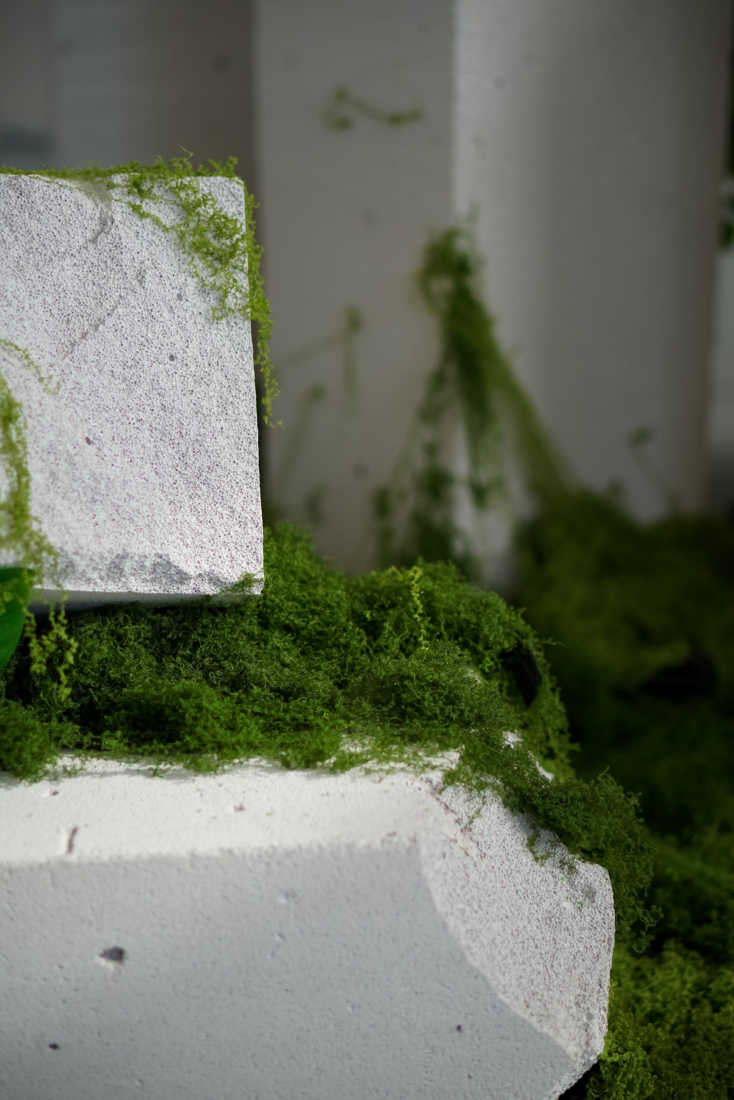 Зал Life фотостудия Импульс. Фотостудия в Саратове. Фотограф в Саратове