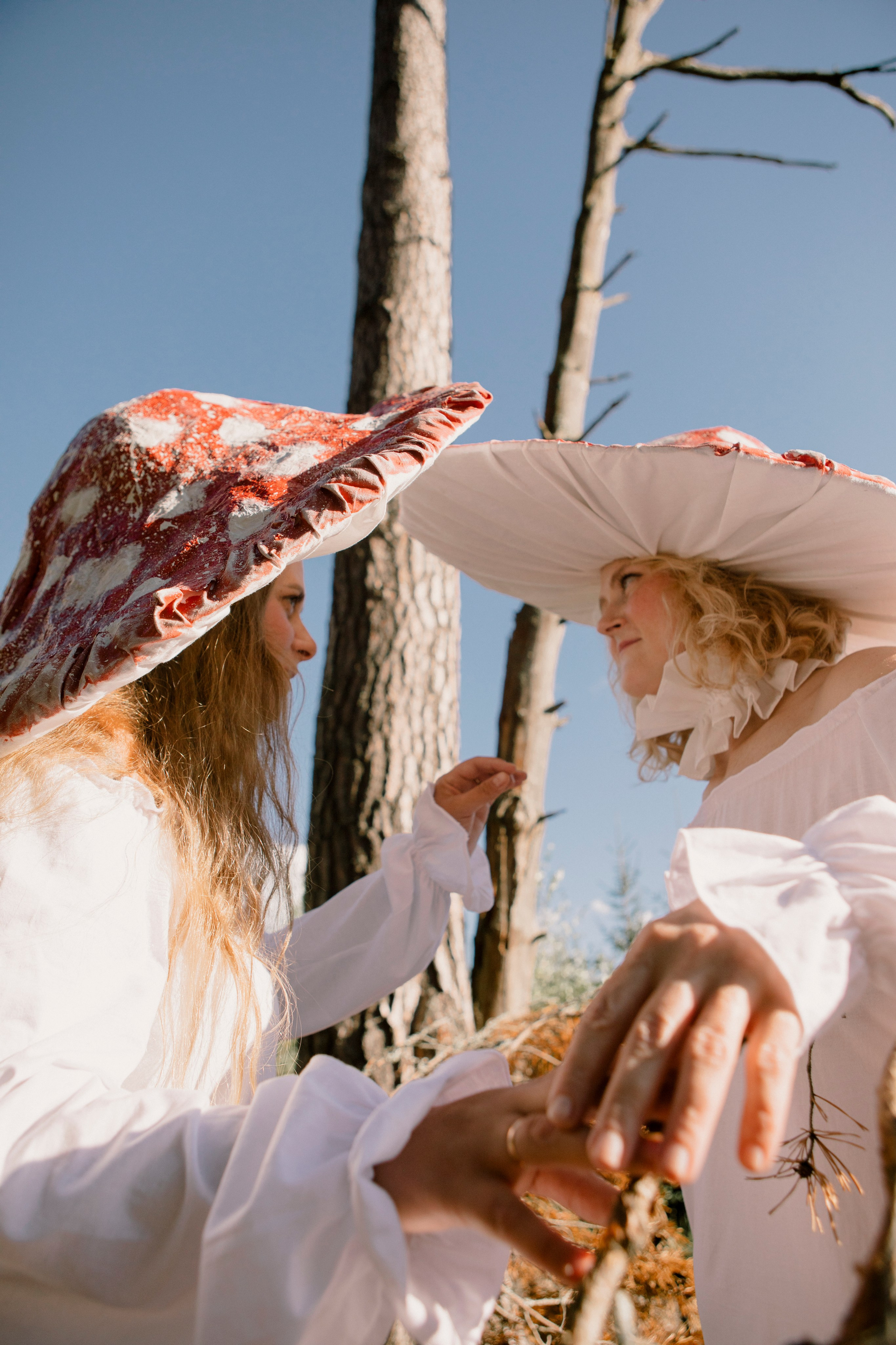 Грибы. Ольга Пилант. АРТ, бэкстейдж, свадебная и семейная фотография, городской портрет, интерьерная фотография