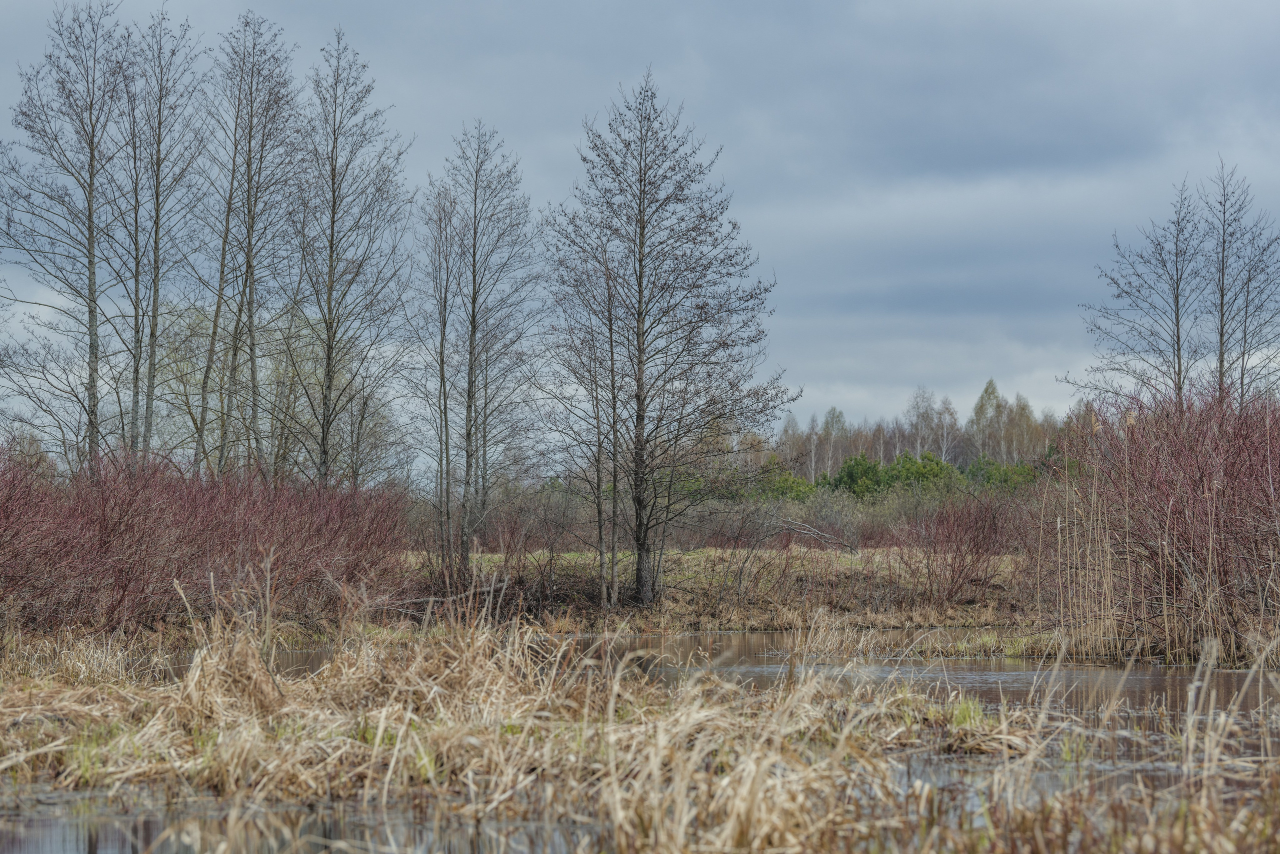 Разведка нового маршрута. Репортажный фотограф Владимир Беляй