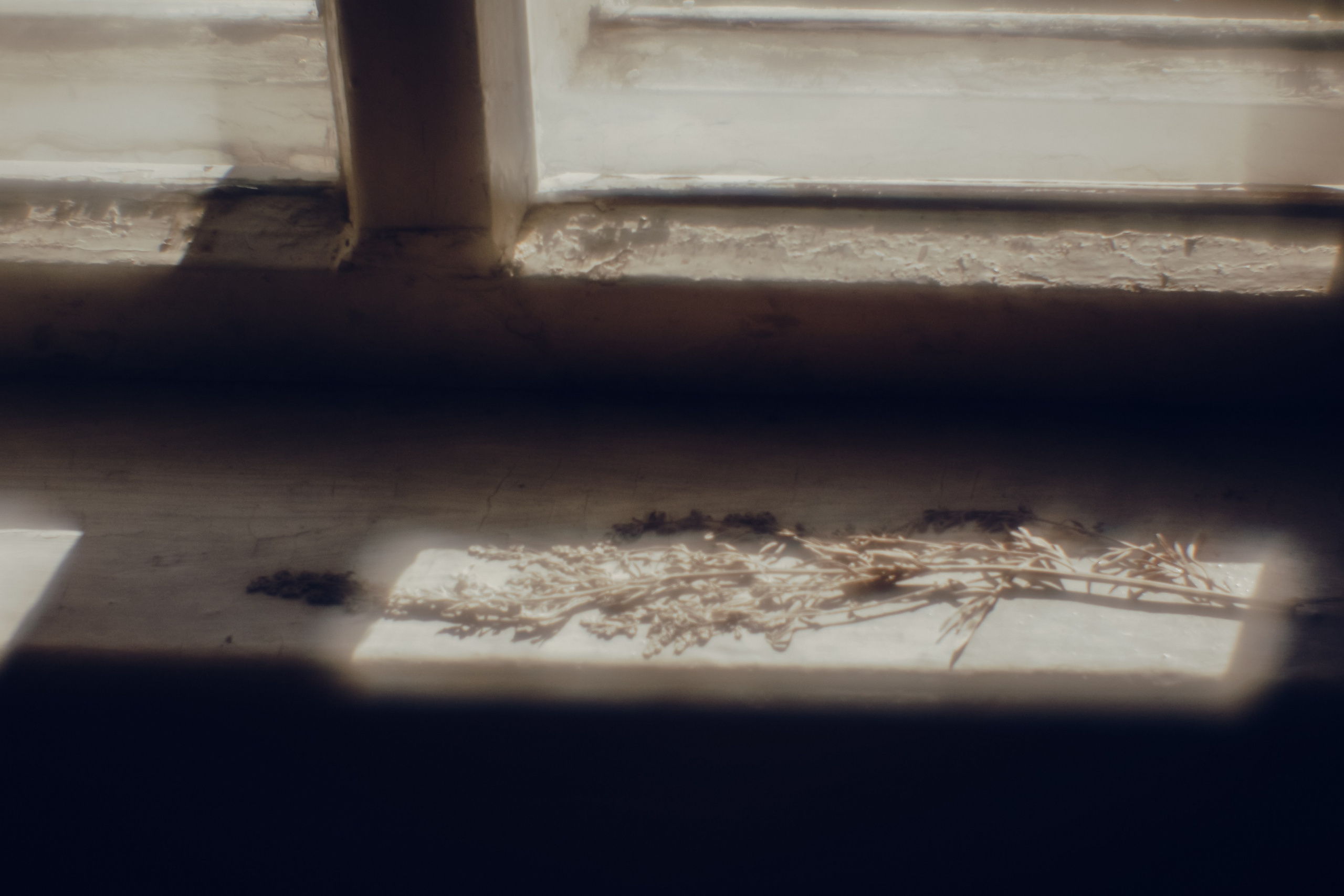 Поэзия повседневности. Семейный фотограф в Москве Марина Аргунова