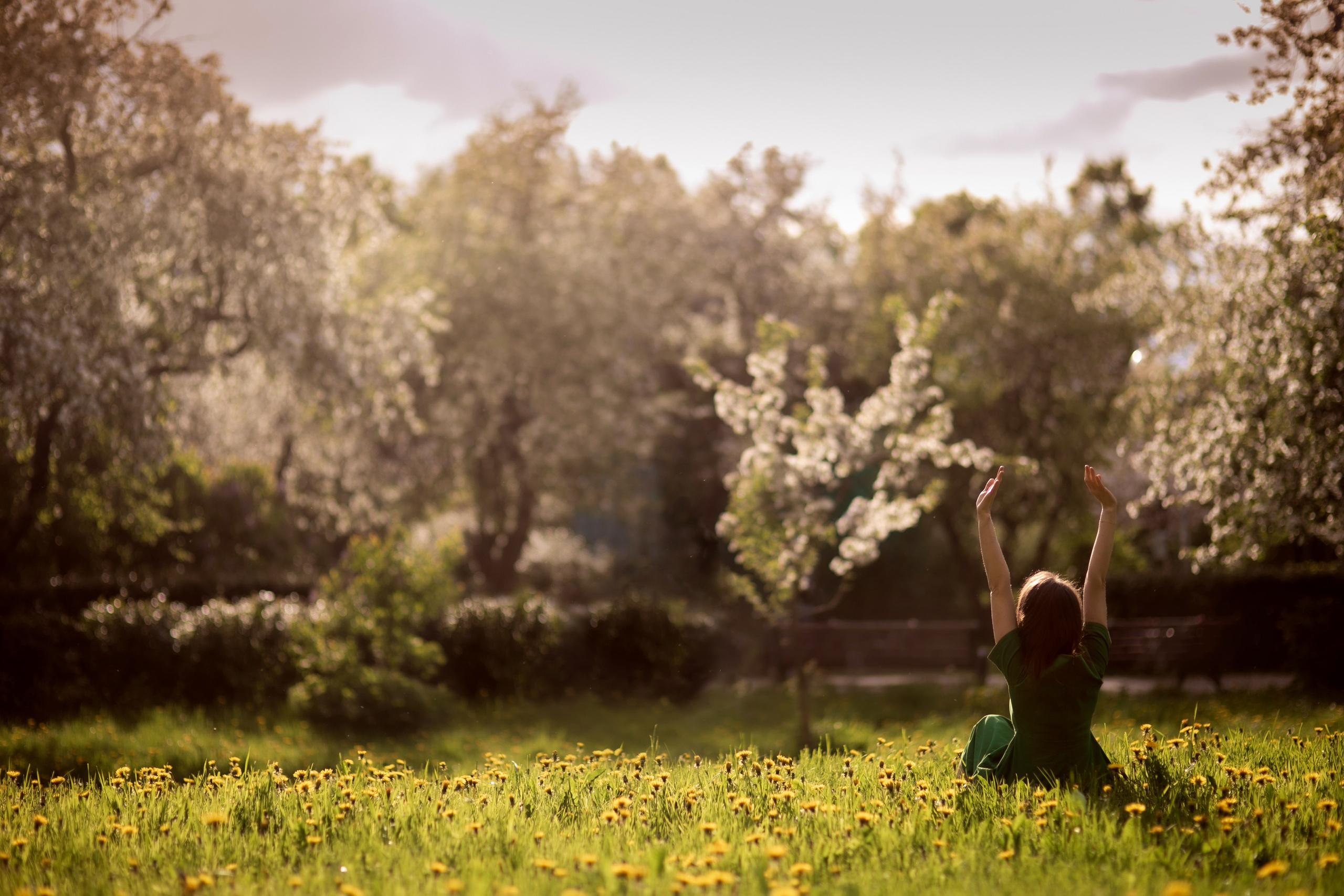 Весна. Семейный фотограф в Москве