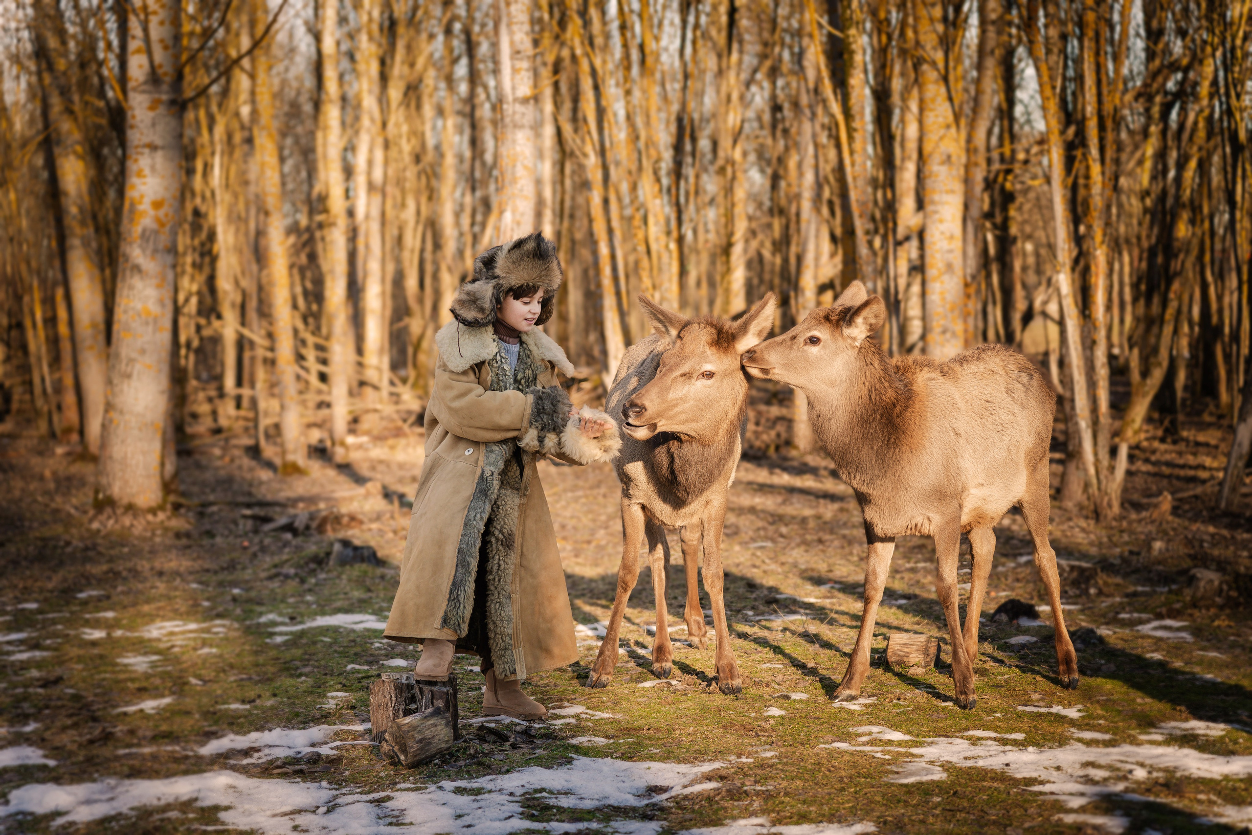 Фотосъемки с животными. Главная