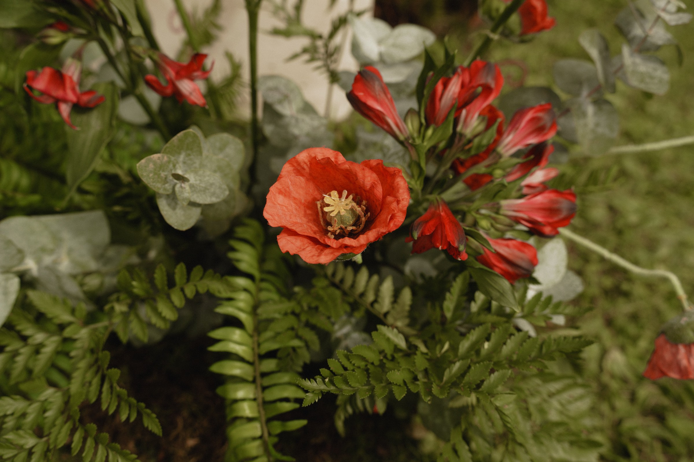 АРИНА И МИХАИЛ. Свадебный и семейный фотограф в Абакане Василевский Алексей