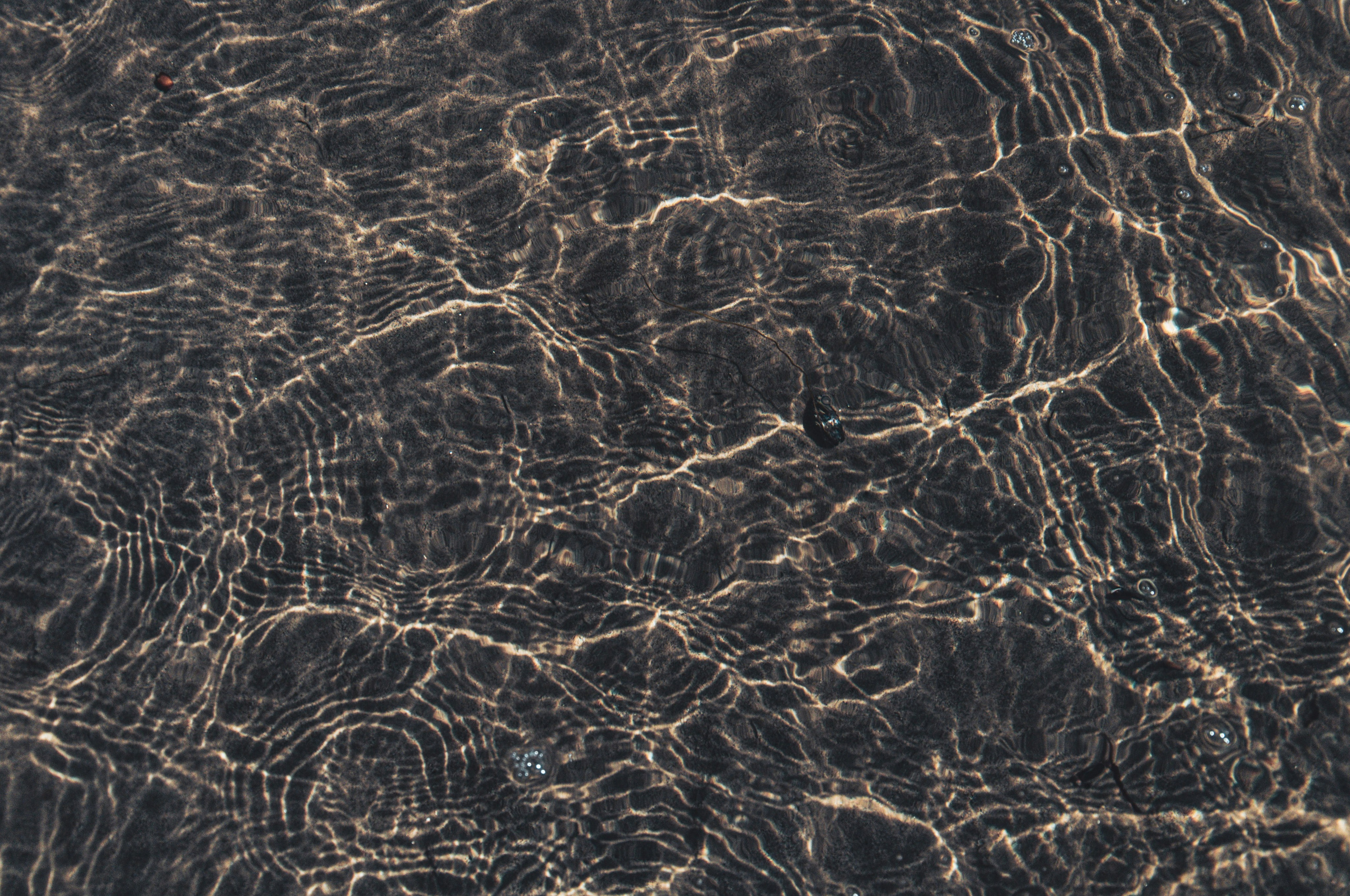 Фотографии с Белого моря. Авторские походы по Белому морю