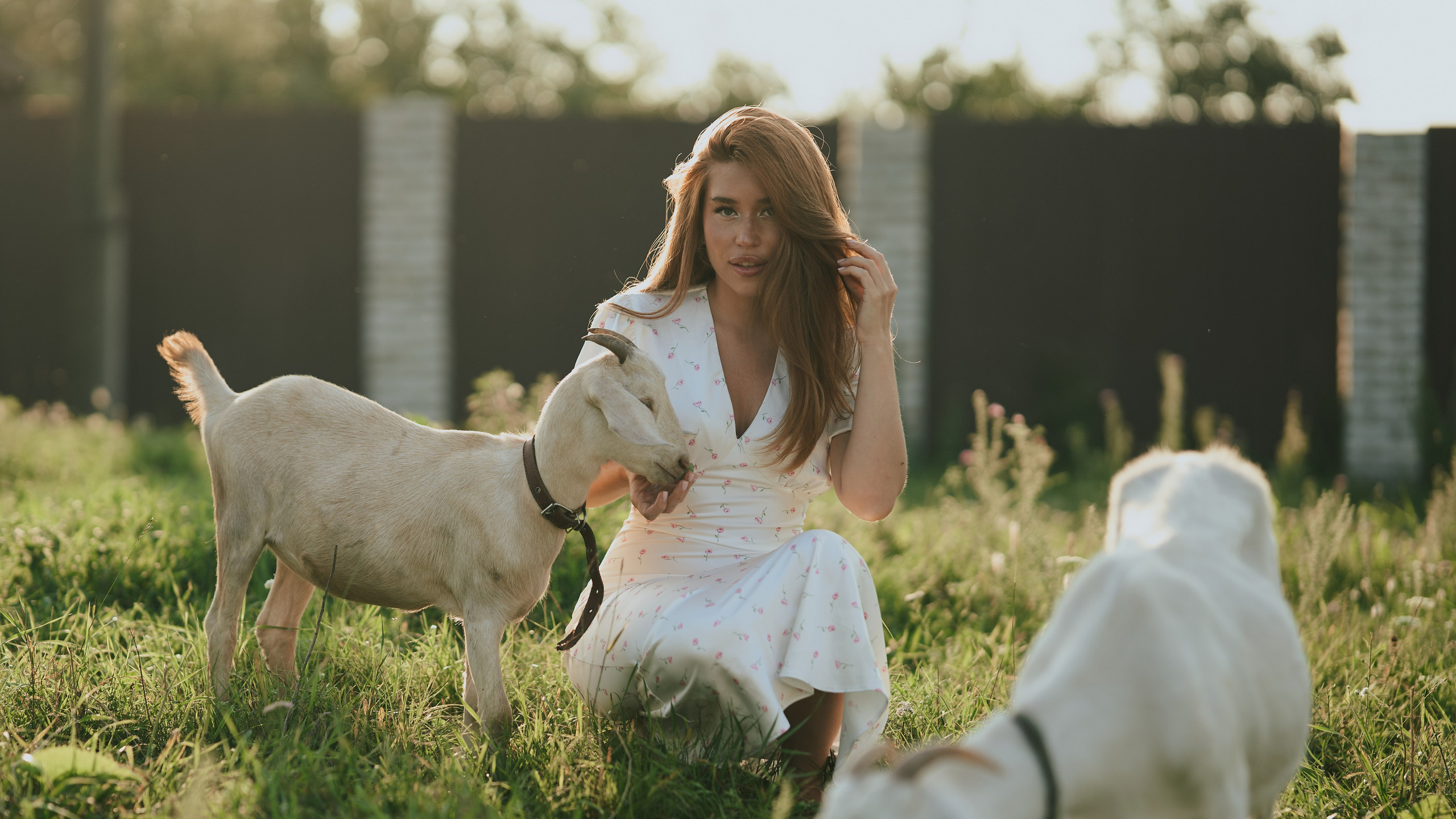 Портфолио. Саша Фоткал. Женский портрет. Будуар. НЮ