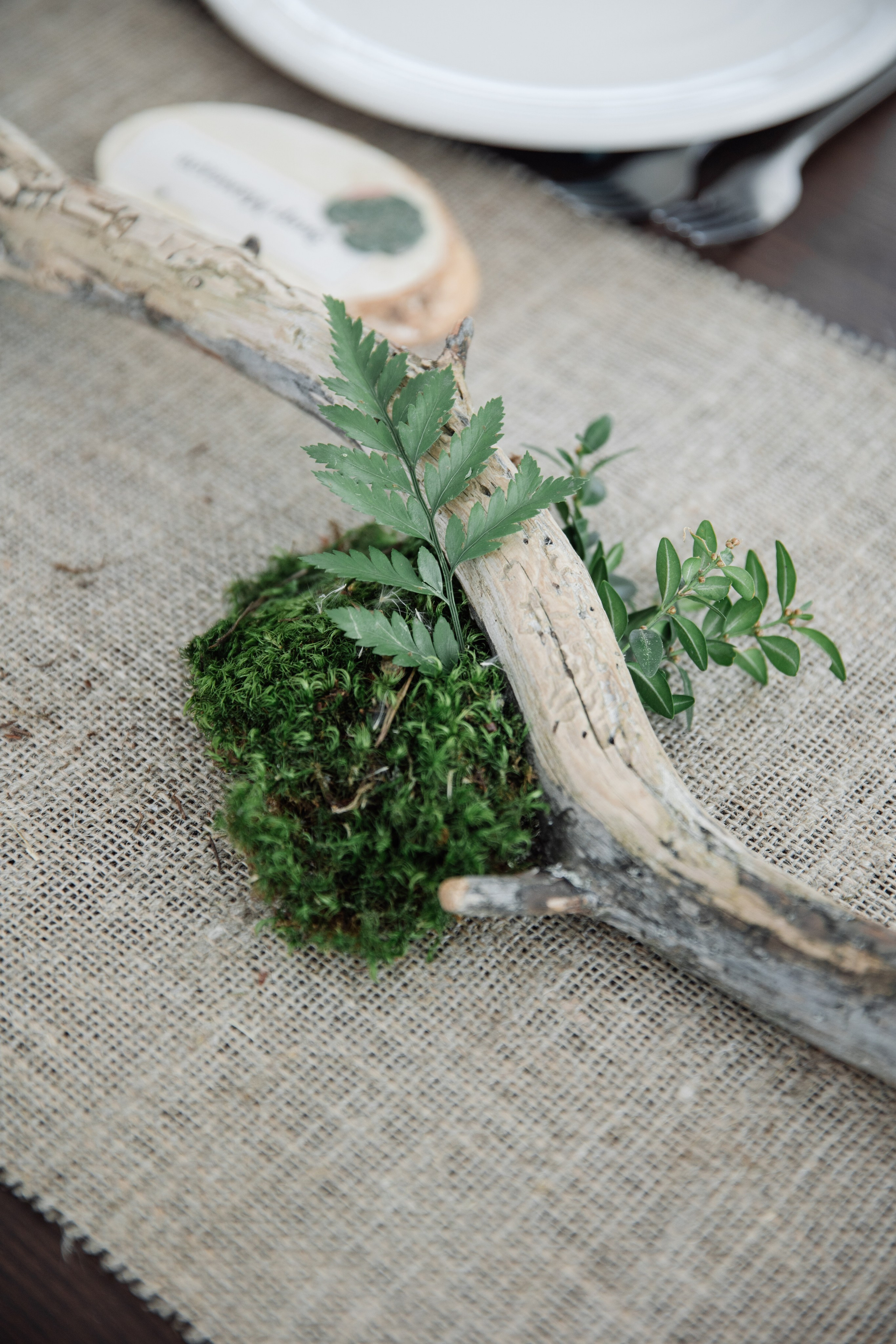 В стиле Властелина Колец. Свадебный фотограф в Нижнем Новгороде — Эдуард Смирнов