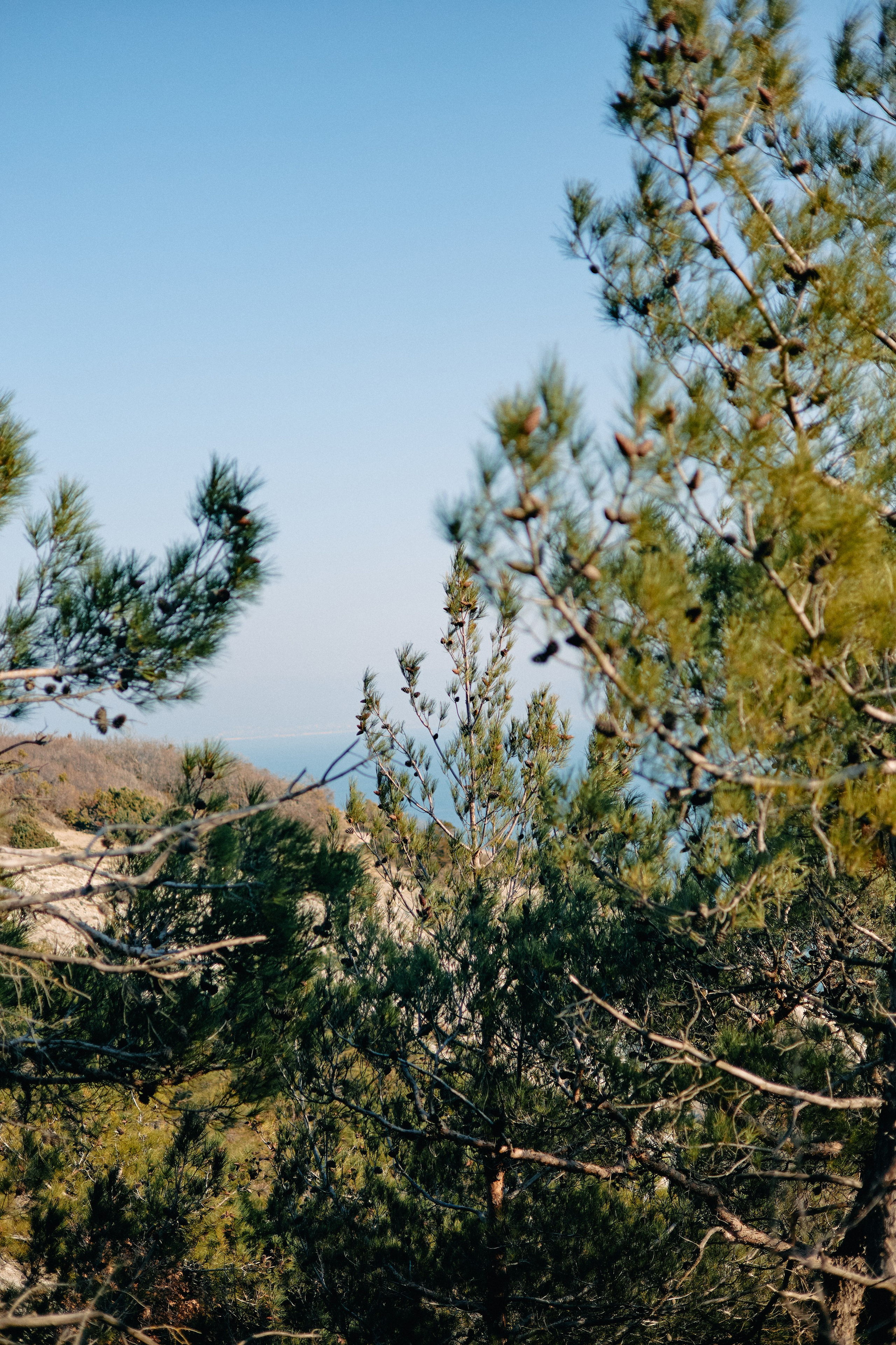 Юг России. Профессиональный Фотограф во Владимире, в Москве и в Суздале — Полина Романычева