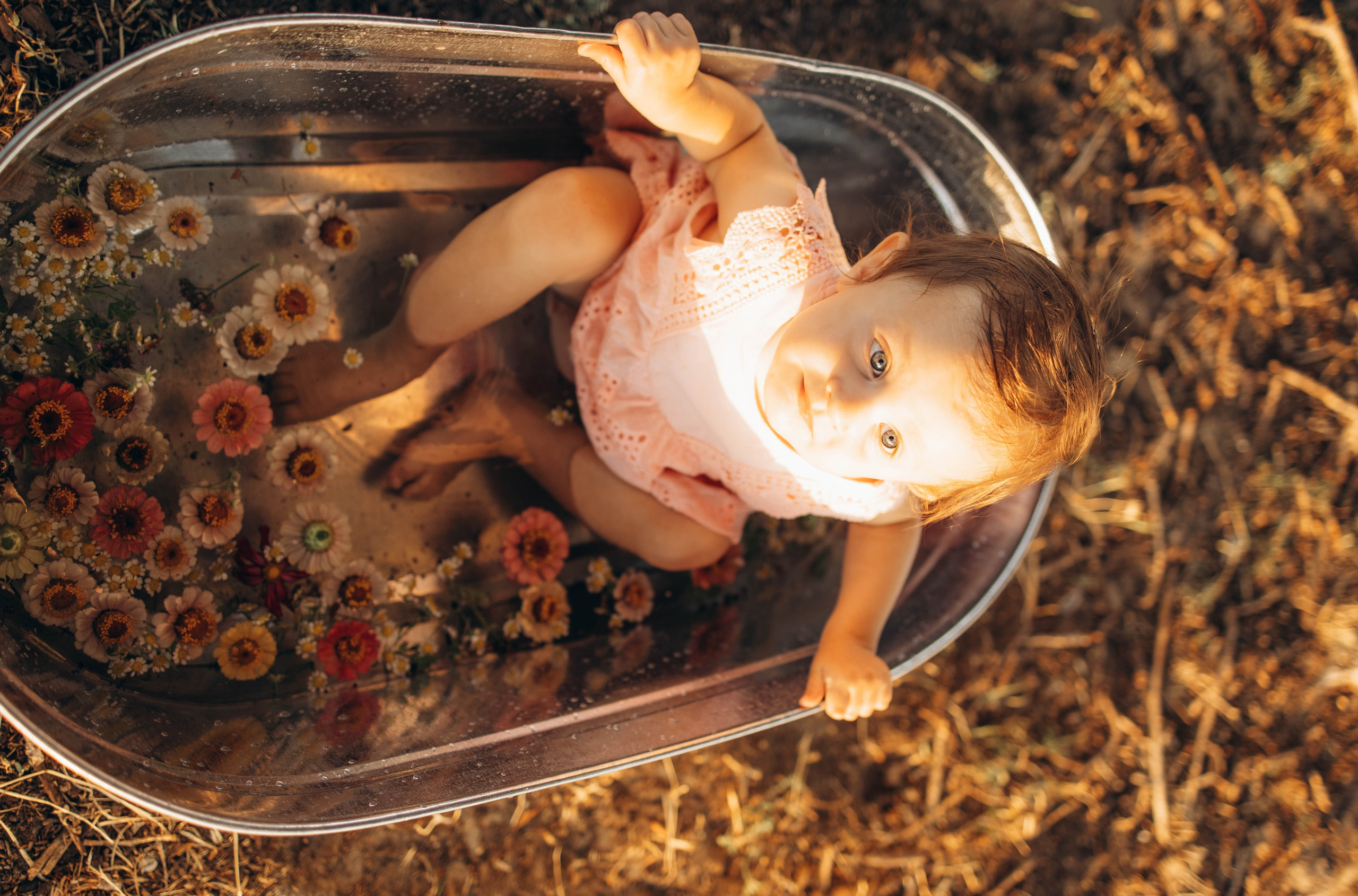 Цветочное настроение. Фотограф Алевтина Матешук