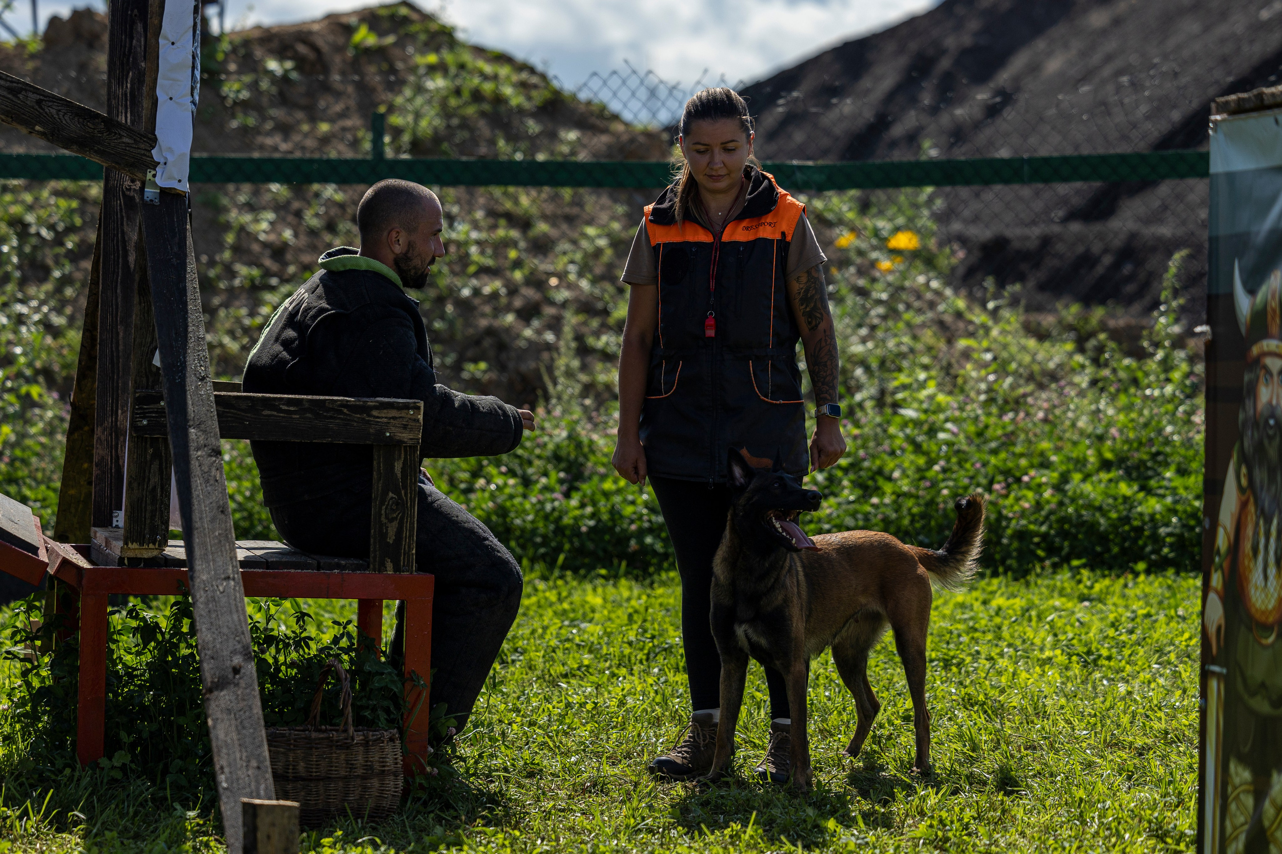 Соревнования по Мондьорингу г. Вологда 10-11.08.2024. Фотограф-анималист Анна Маринич