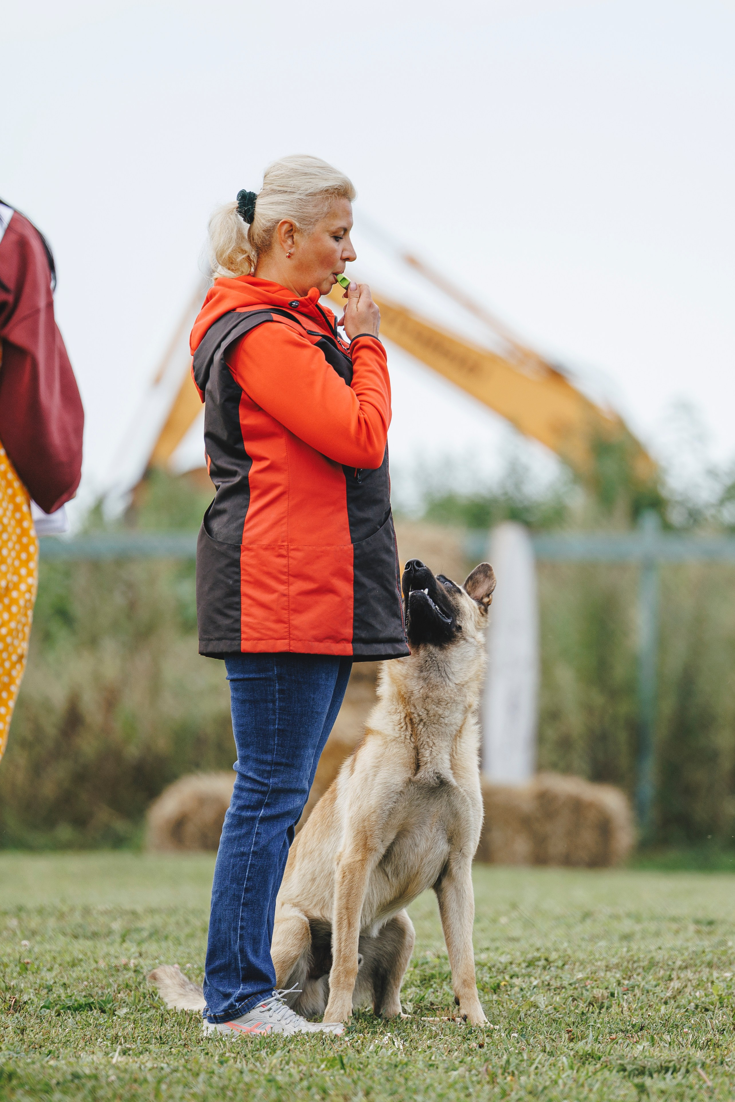 08.08.25-10.08.25 ЧР по мондьорингу г. Вологда. Фотограф-анималист Анна Маринич