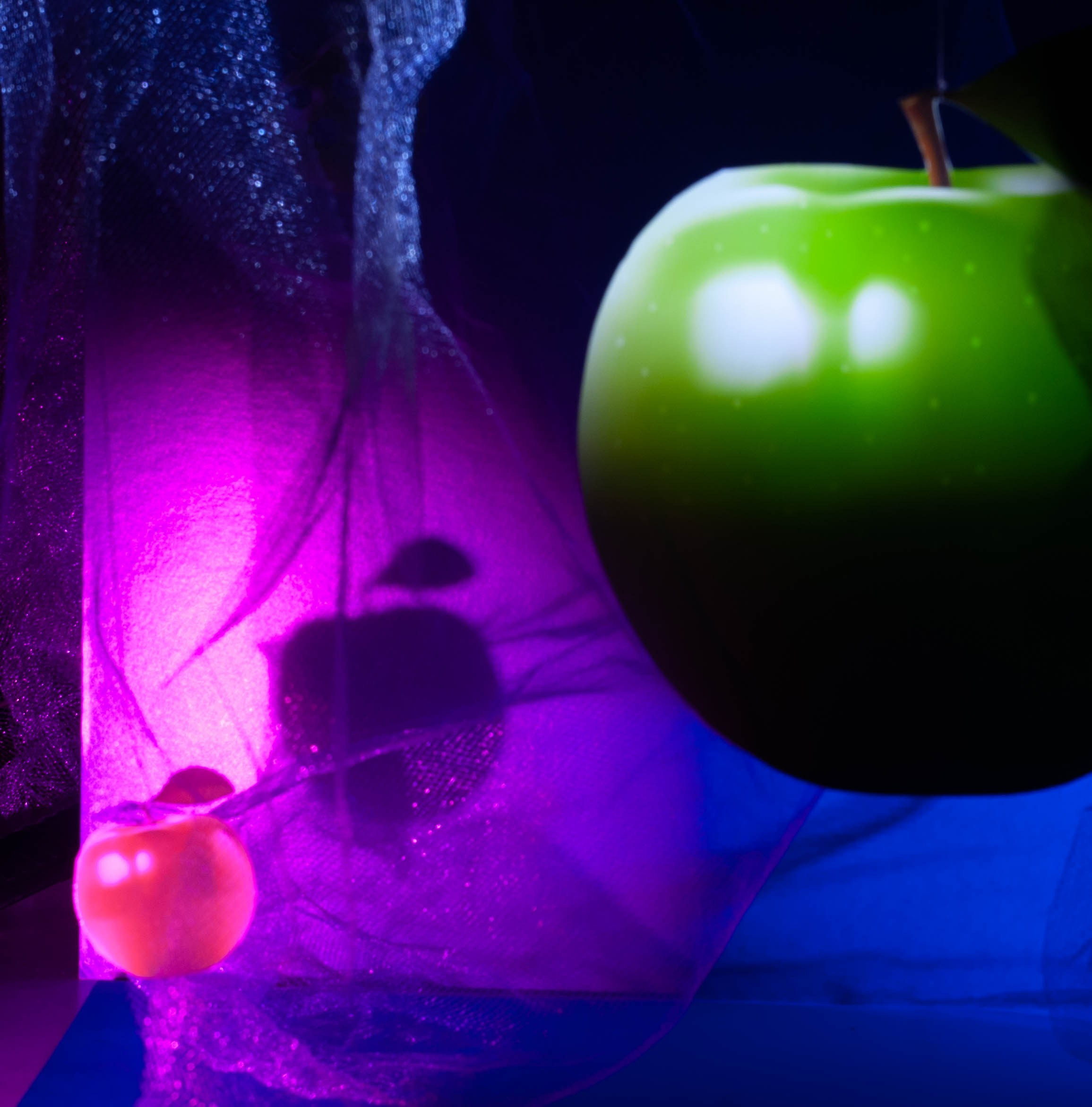 Интерьеры, ландшафты, предметы. Портретный фотограф в республике Алтай Юлия Шевченко