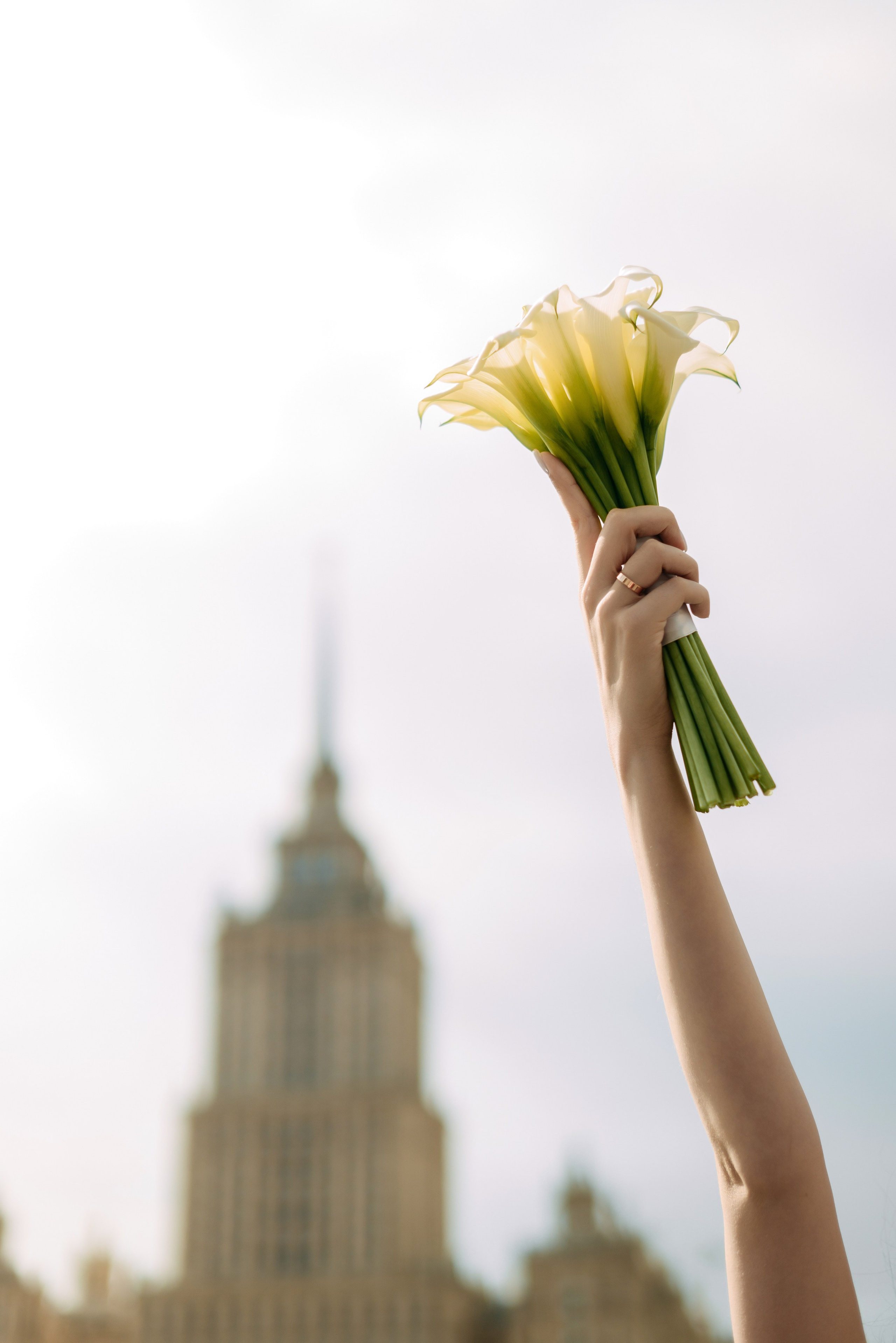 Даша и Влад. Свадебный фотограф, фотограф беременности Дарья Доценко
