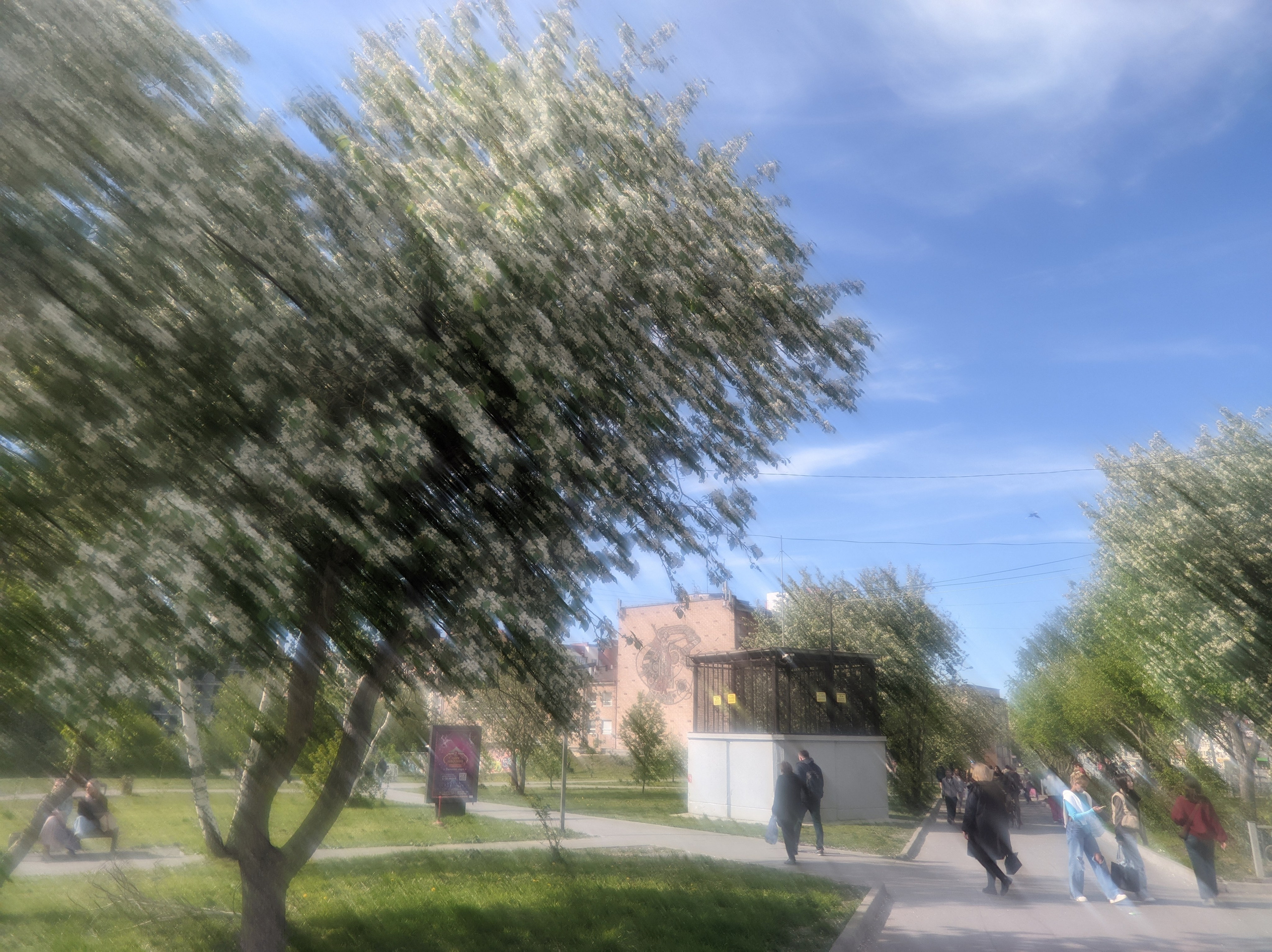 Солнечный. Фотограф в Санкт-Петербурге Березовский Даниил