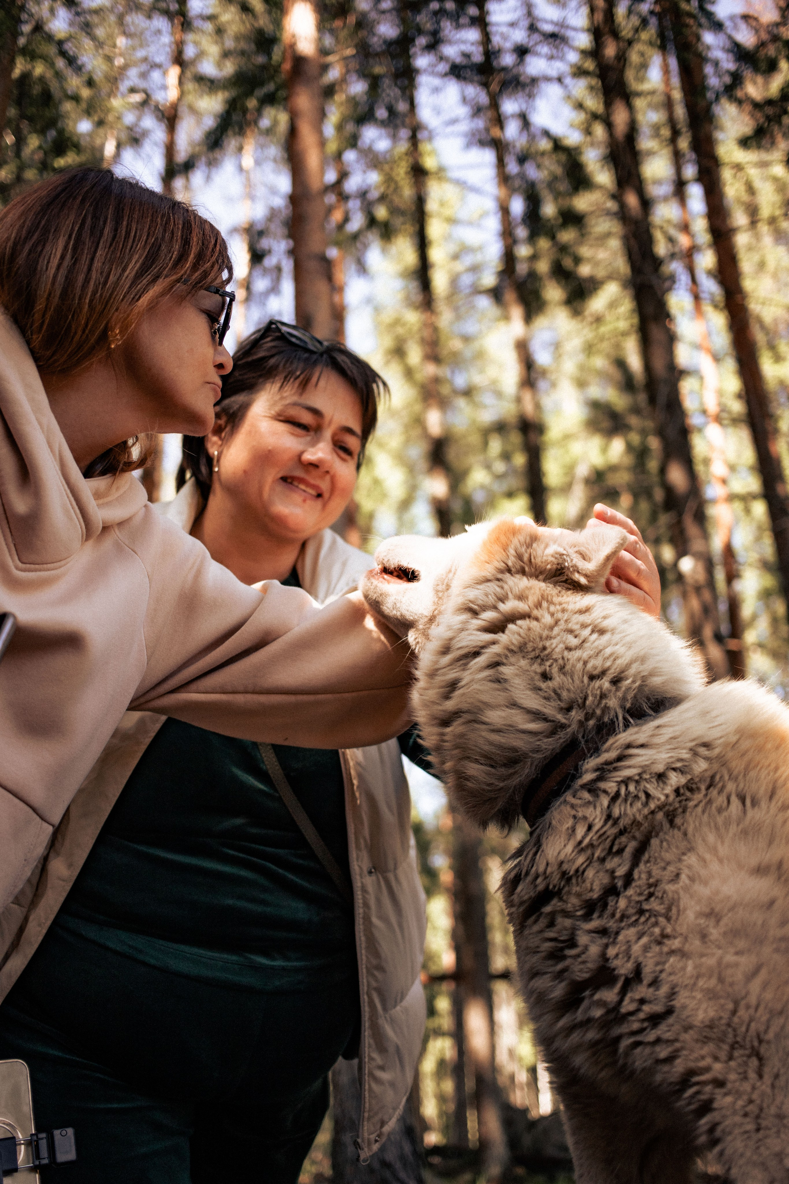 Карелия. Фотограф в Минске Анастасия Ткаченко