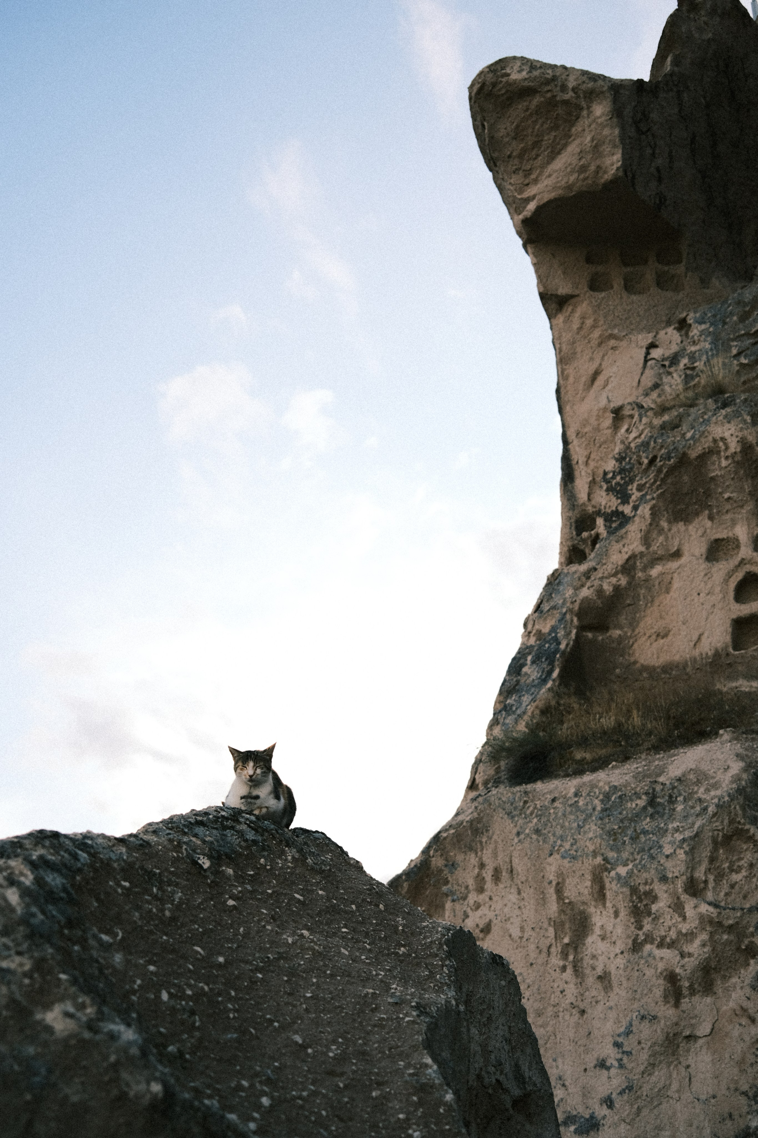 Молчание. Портретный фотограф