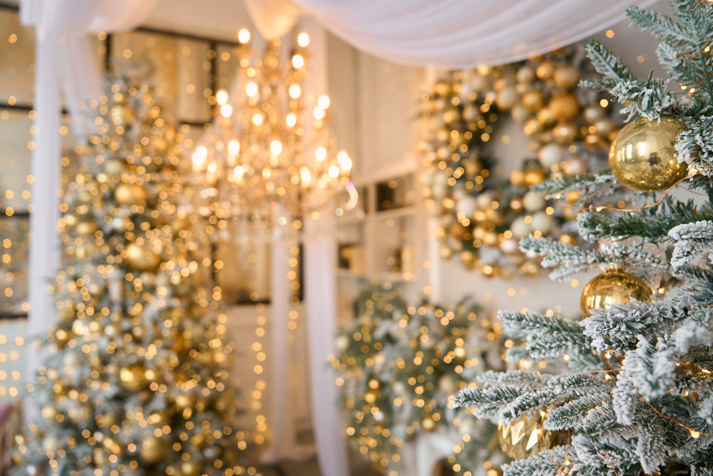 Флэт (Flat). Фотограф г. Хабаровск. Семейные и индивидуальные съёмки