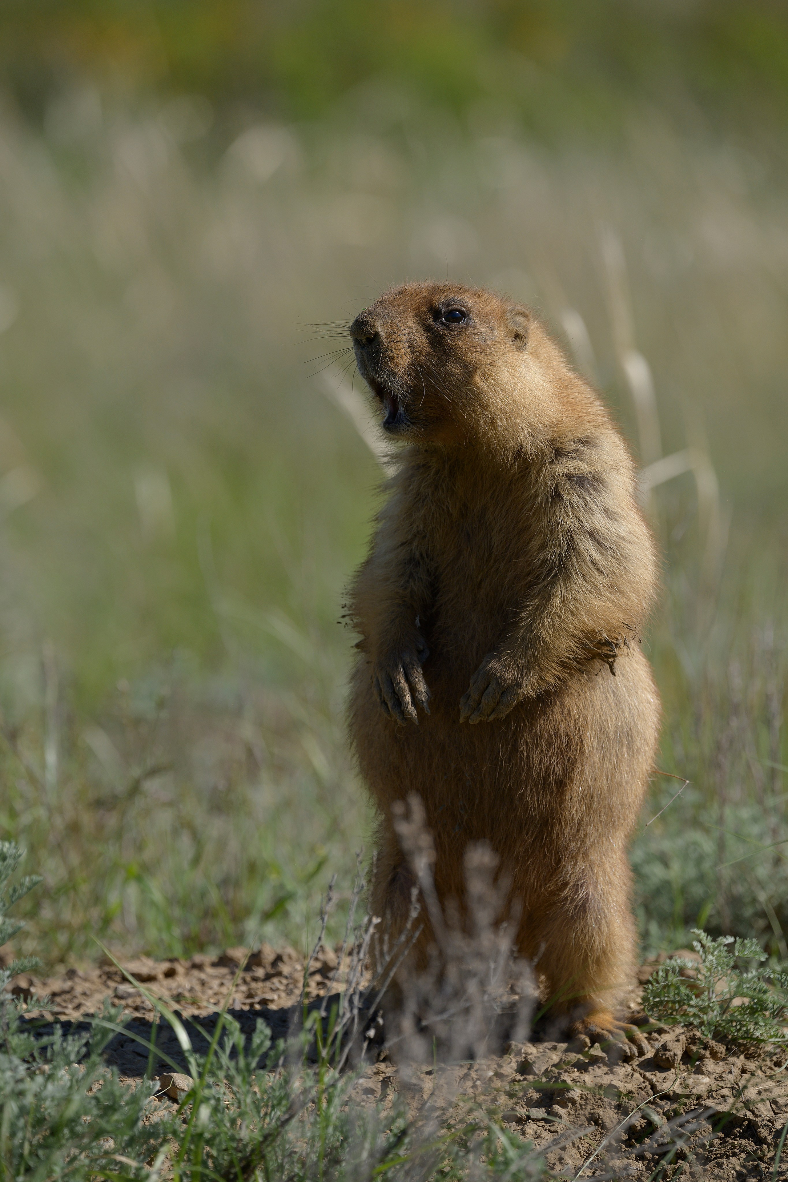 Оренбуржье. Портретный фотограф в Челябинске Катерина Руди
