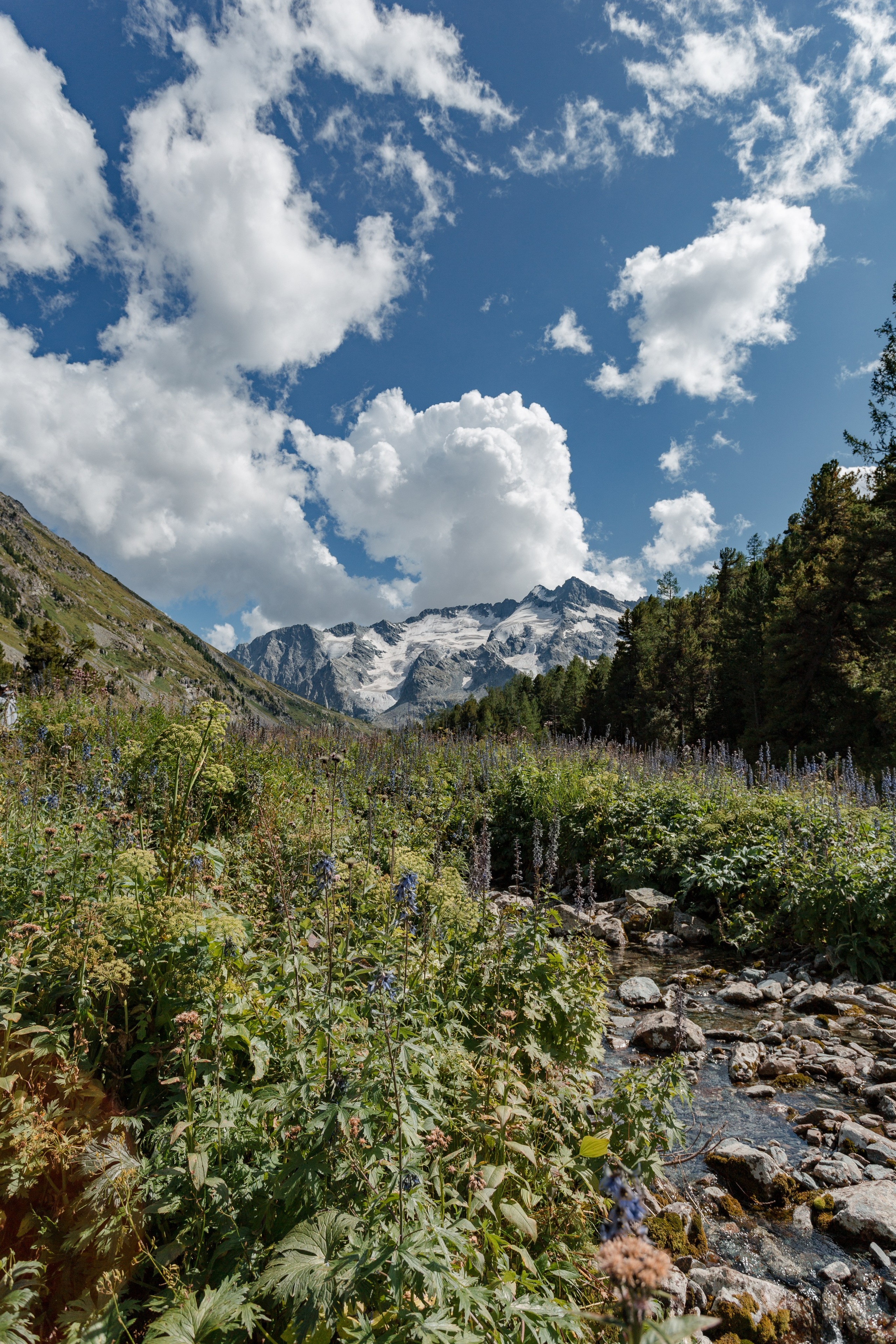 Катунский заповедник, Республика Алтай. Репортажный фотограф в Крыму Ксения Гасица