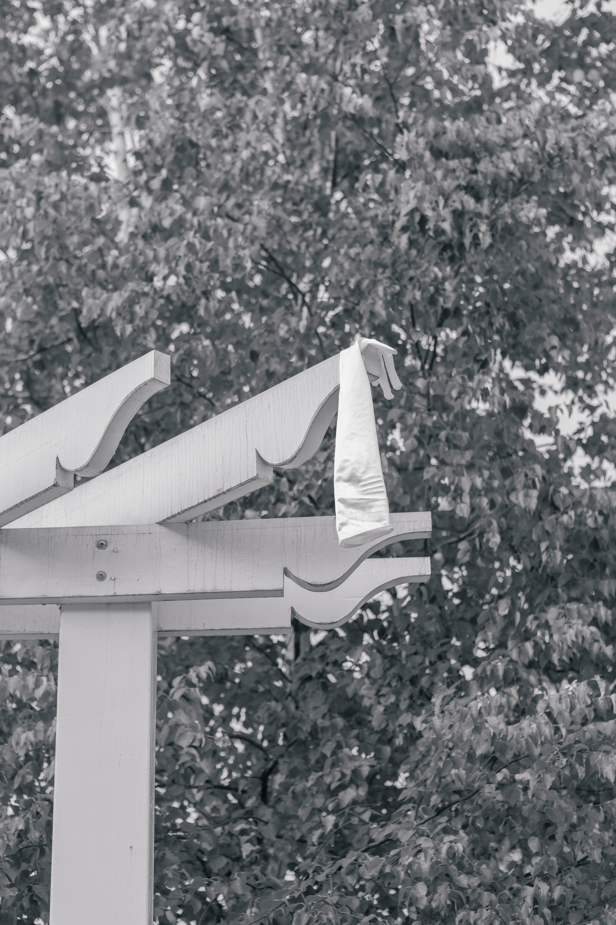 Софа и Рома. Фотограф Лесозаводск/Хабаровск