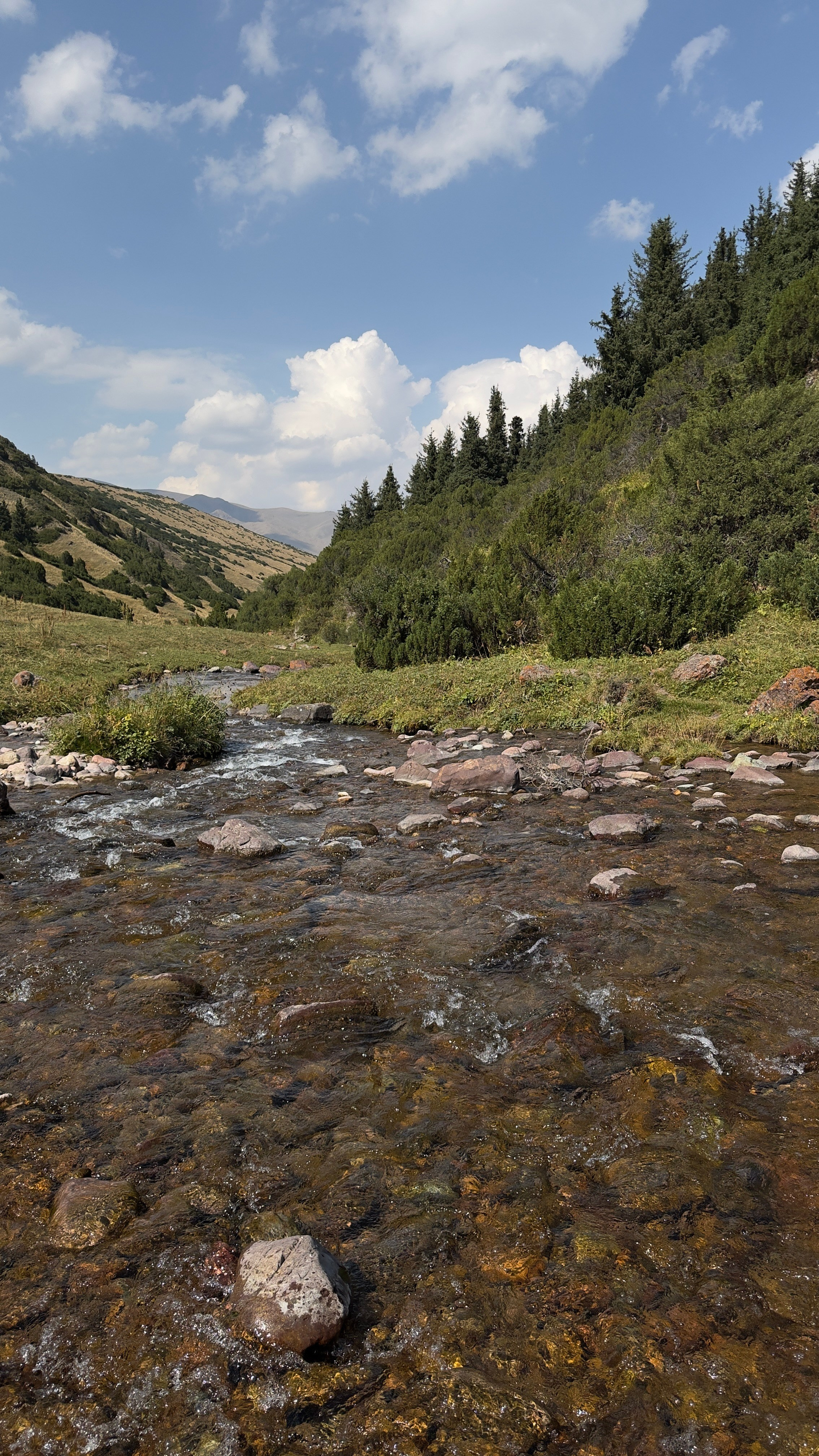 Поездка на плато Ассы и за пределами. Экскурсии и туры по Алматы