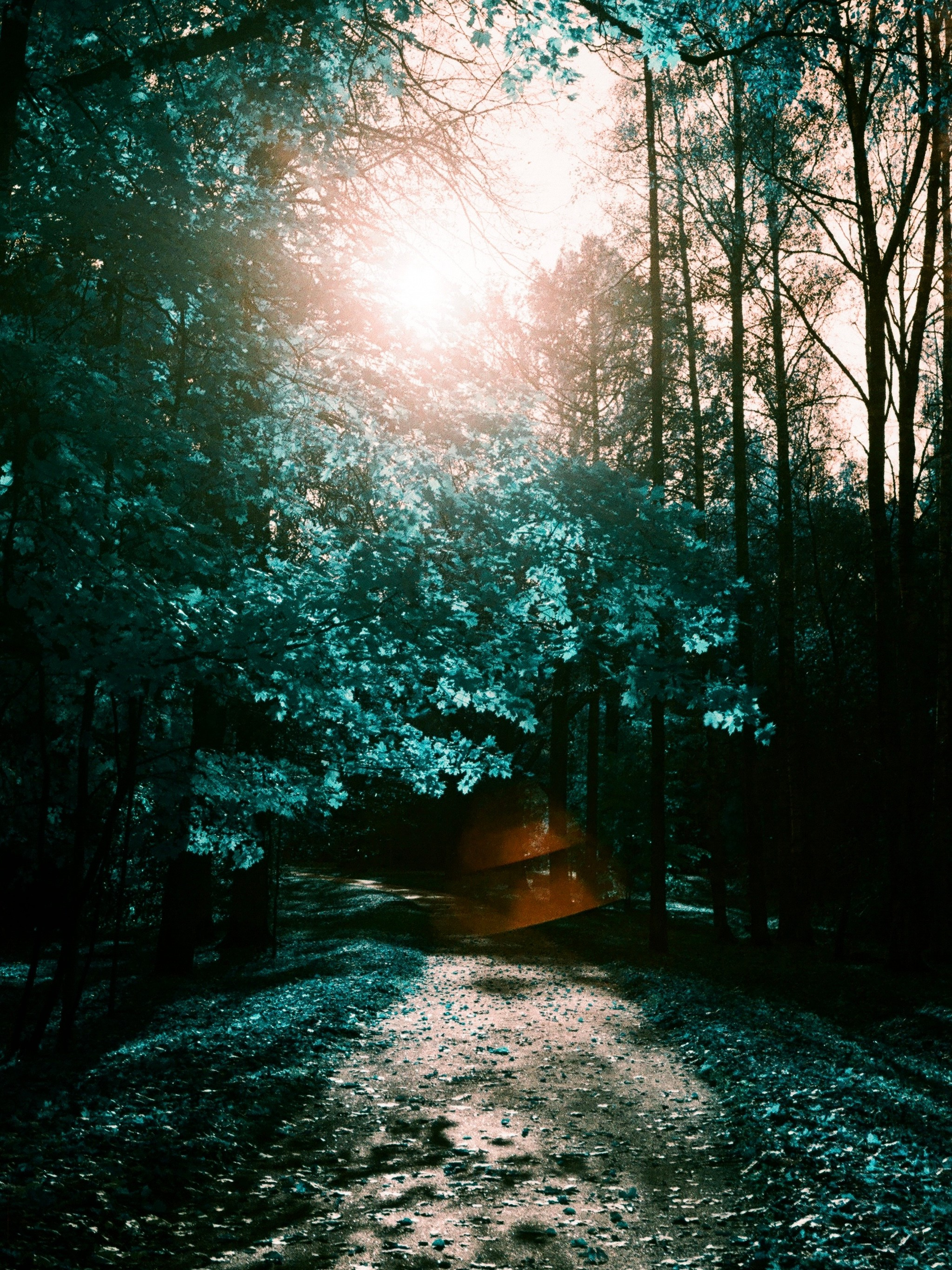 Фотограф — Маслеников Константин