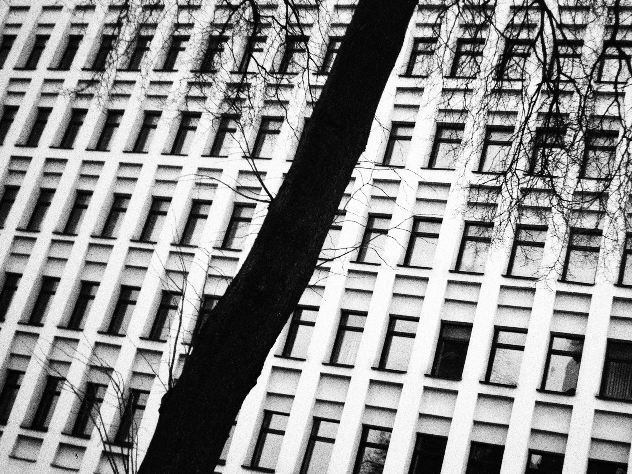 1989. Фотограф — Маслеников Константин