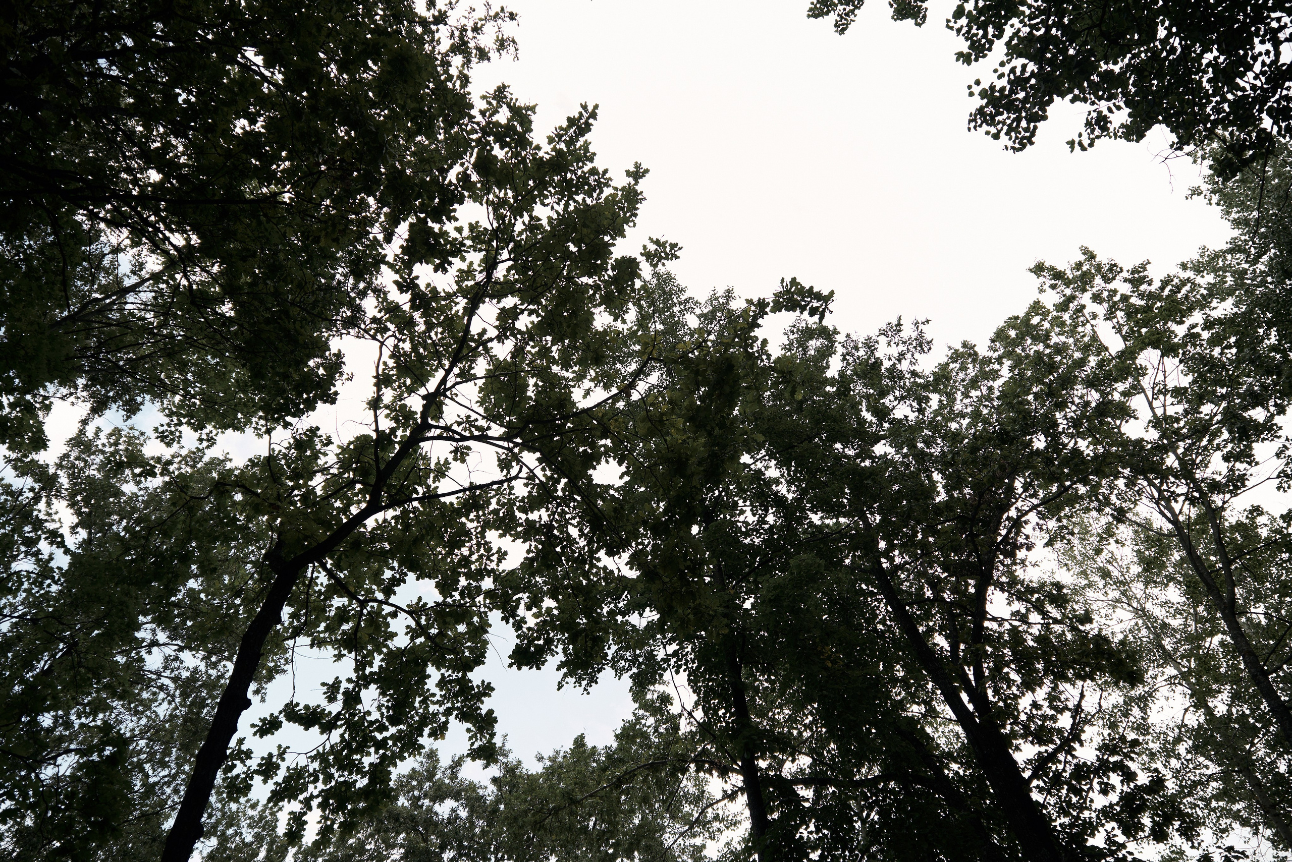 Александр и Валерия. Свадебный и семейный фотограф в Ульяновске Татьяна Селезнева