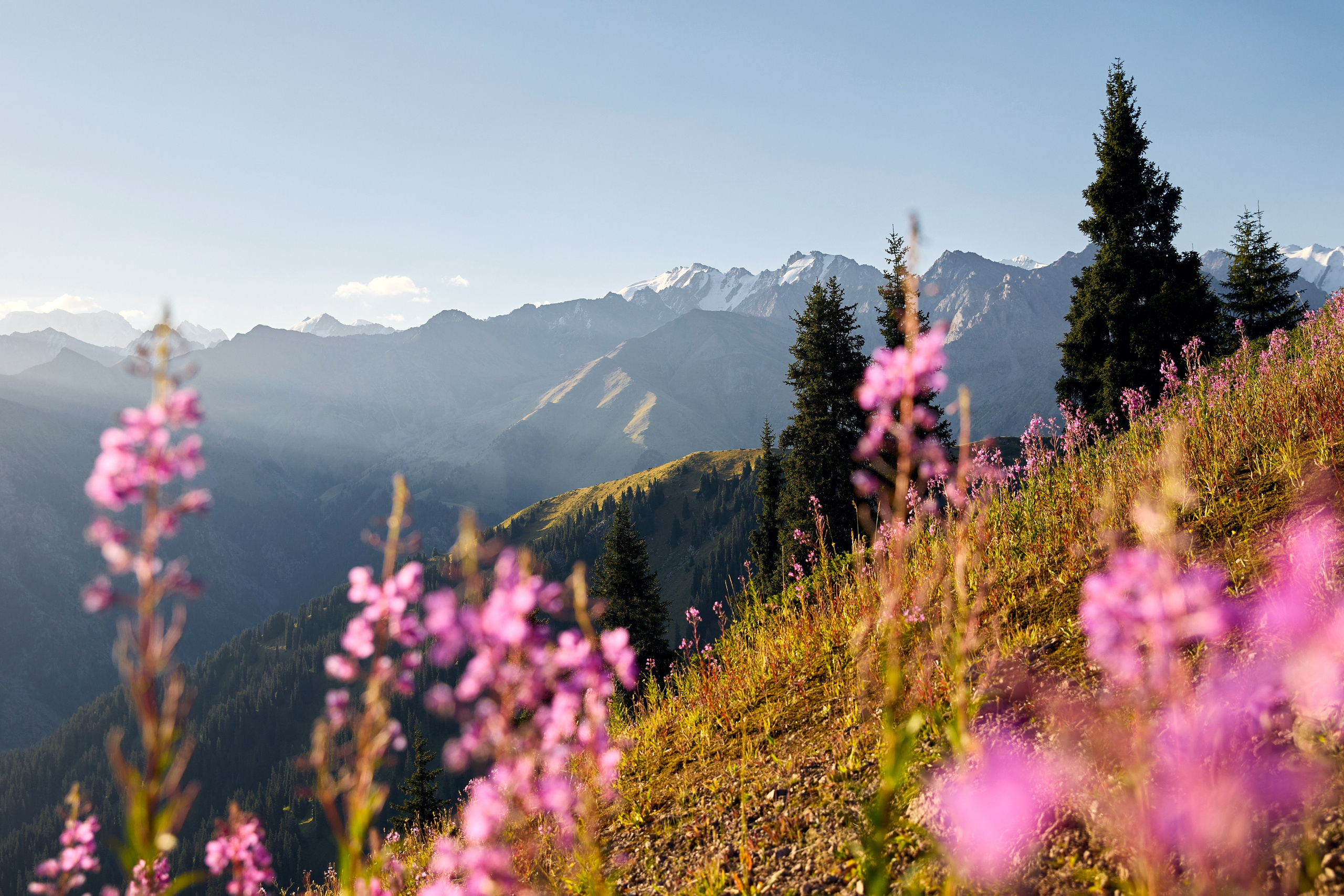 Irbis Race 2022, 2023. Спортивный/коммерческий фотограф/видеограф