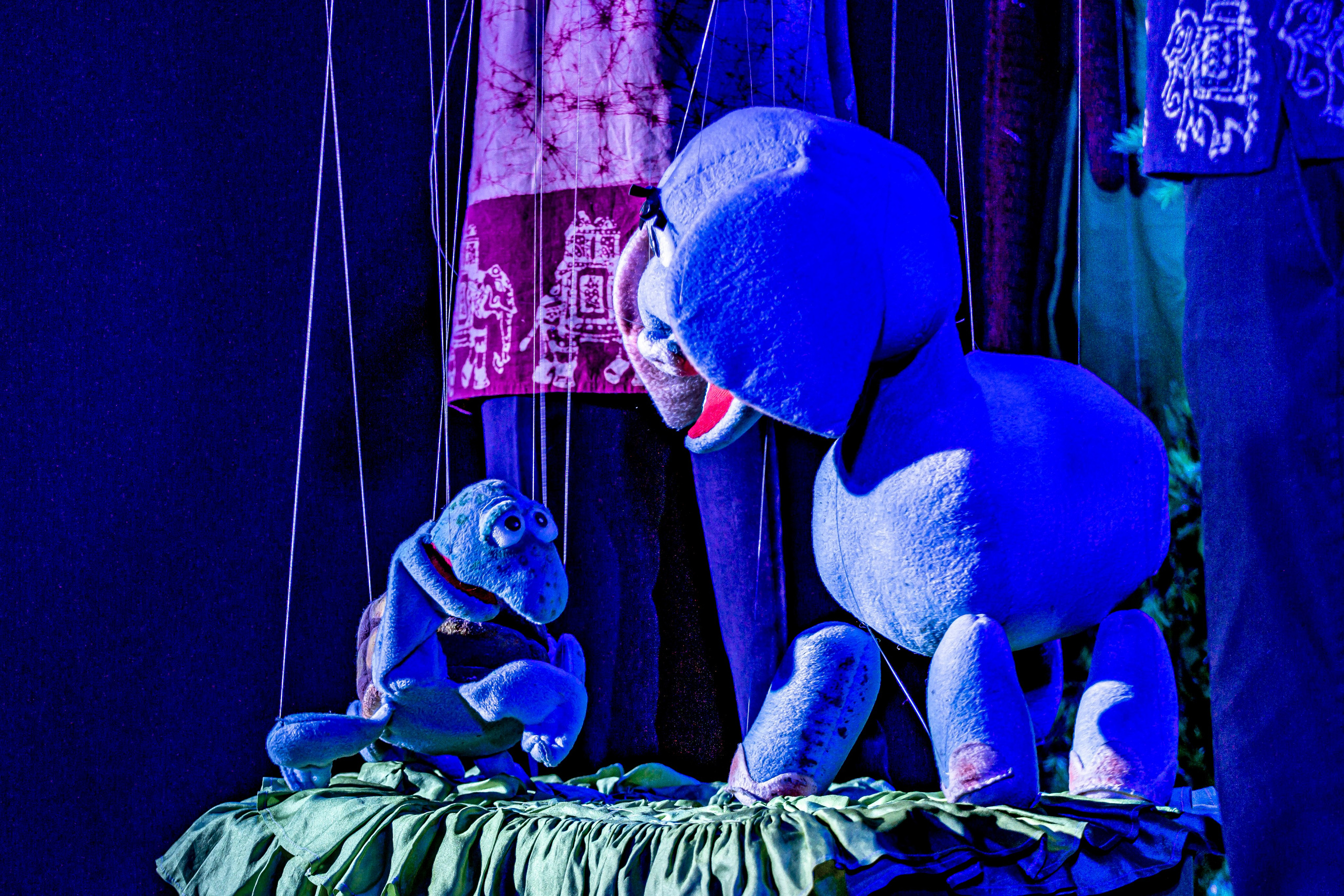 Любопытный слоненок спектакль театра Саквояж. Фотограф в Сочи Юрий Шептаев