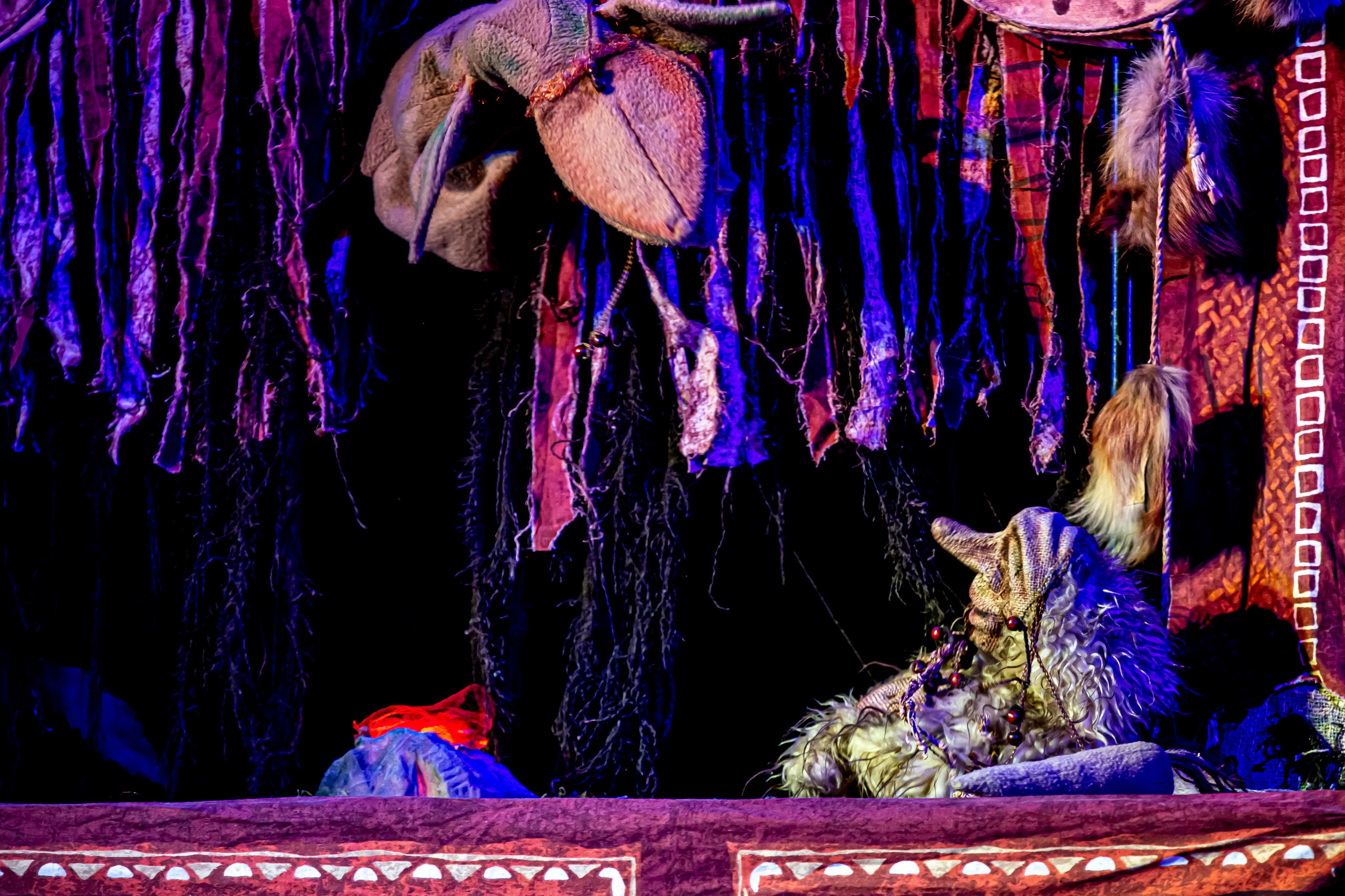 Легенды о Сочи Саквояж. Фотограф в Сочи Юрий Шептаев