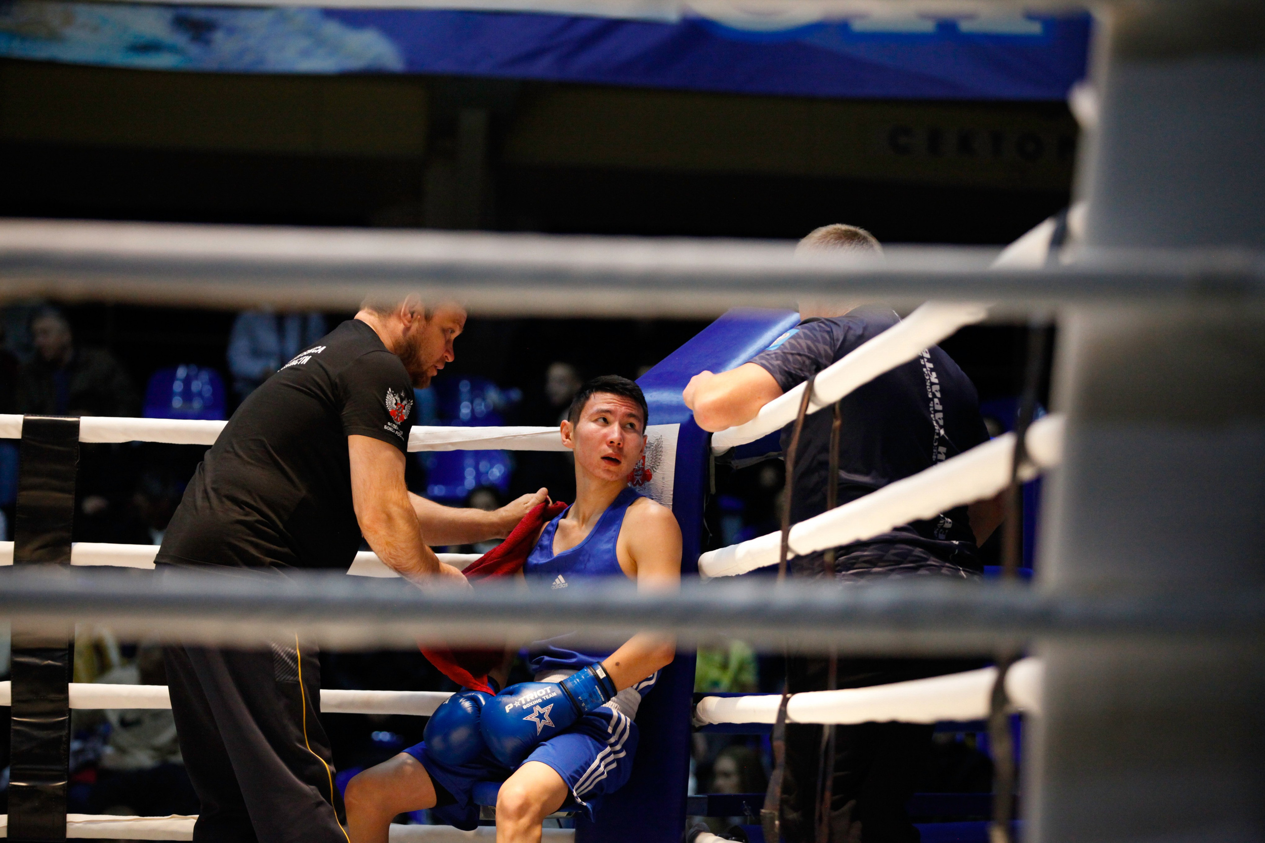 БОКС. Фото. Спортивный фотограф, трансляция, звук и свет в Новосибирске