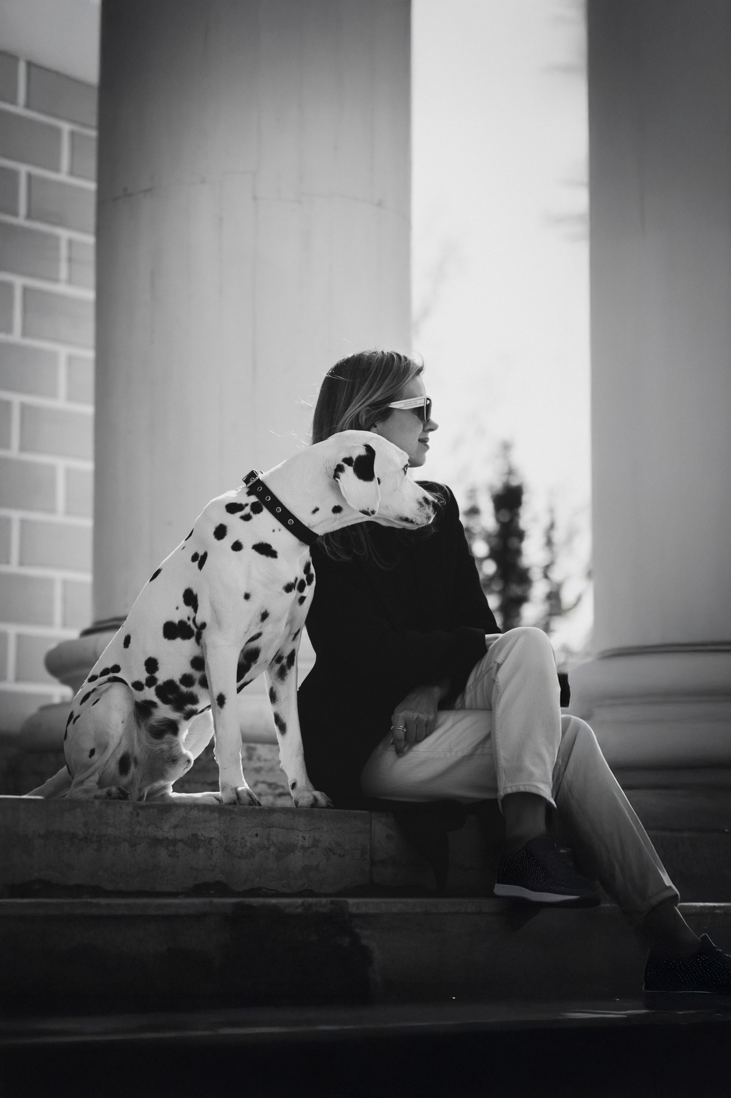 DOGIGO на прогулке. Фотограф анималист в Санкт-Петербурге Таша Крейв