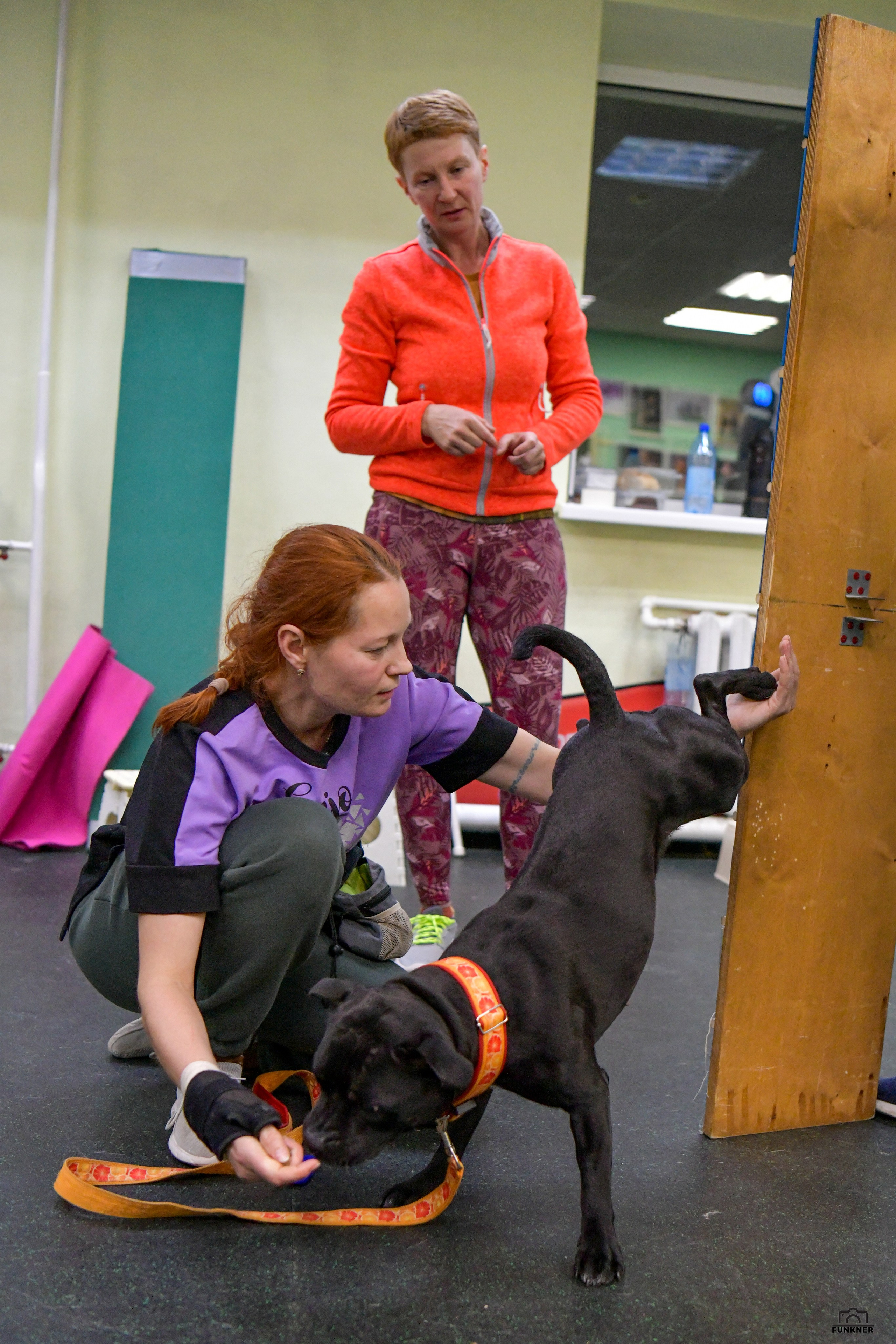 Кинологический клуб «Бодрый хвост». Свой взгляд через объектив