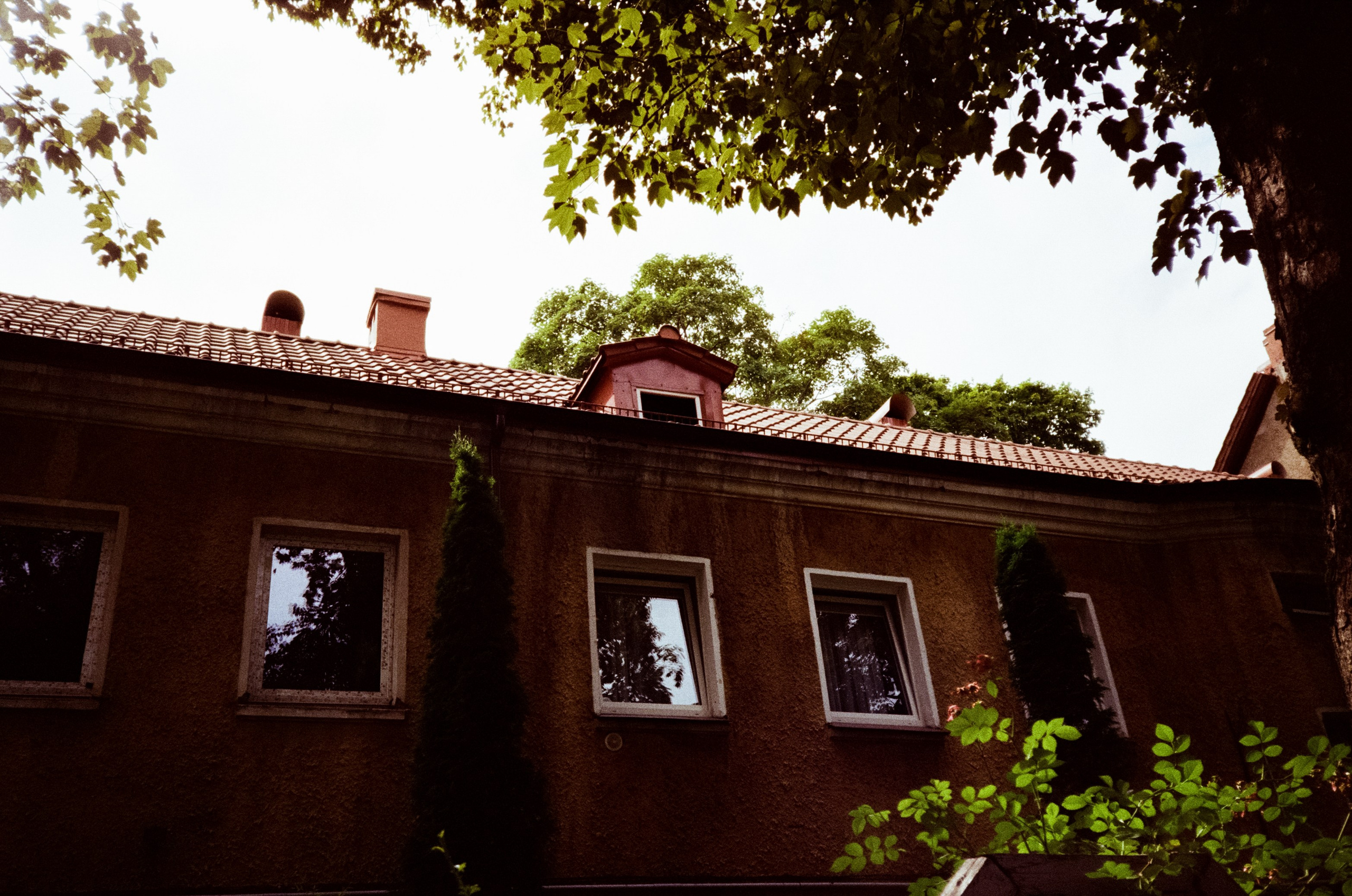 Калининградский стрит. От Амалиенау до кафе Толстой. Фотограф-документалист Мария Осокина