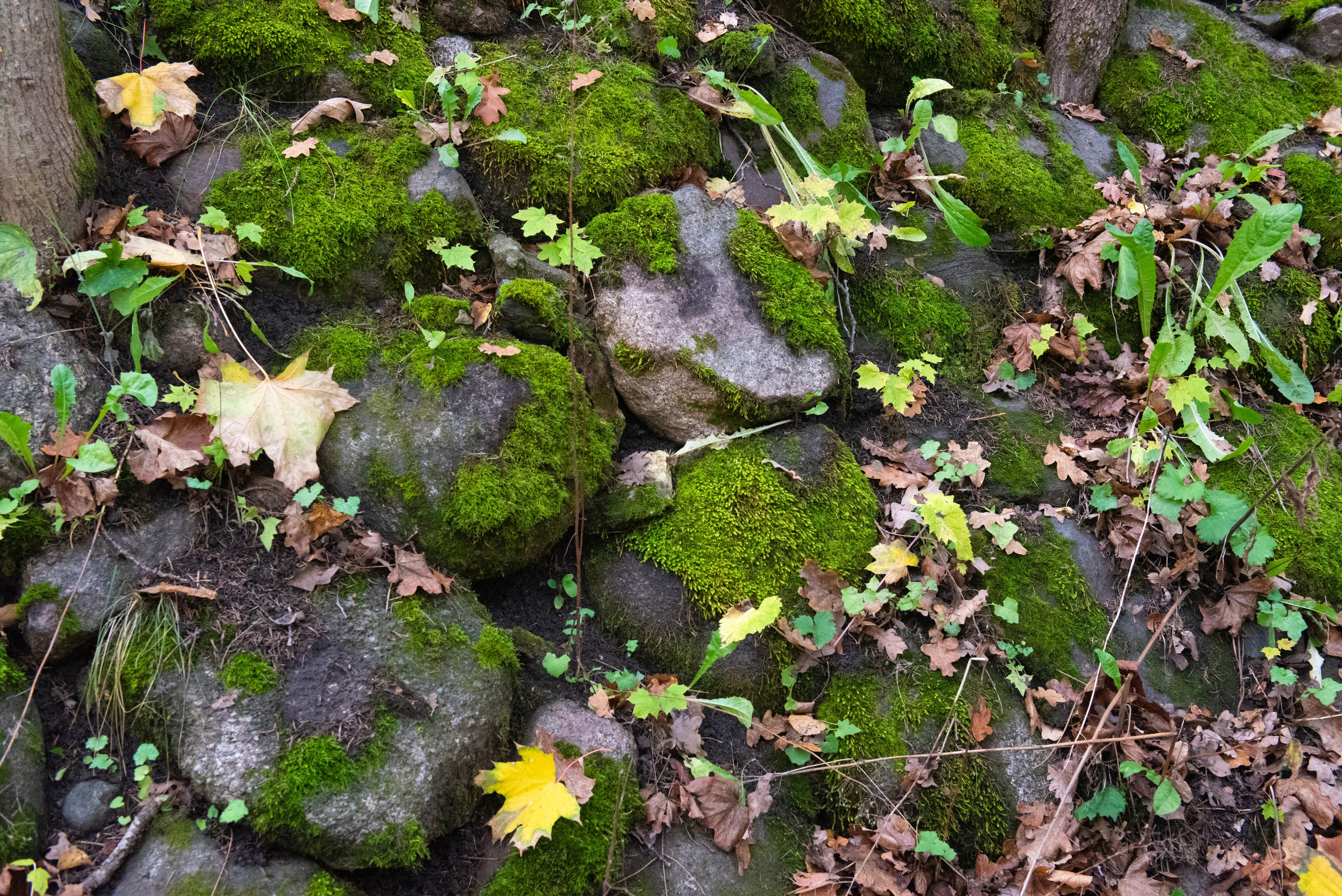 Печоры. Портретный и архитектурный фотограф в Москве и Санкт-Петербурге