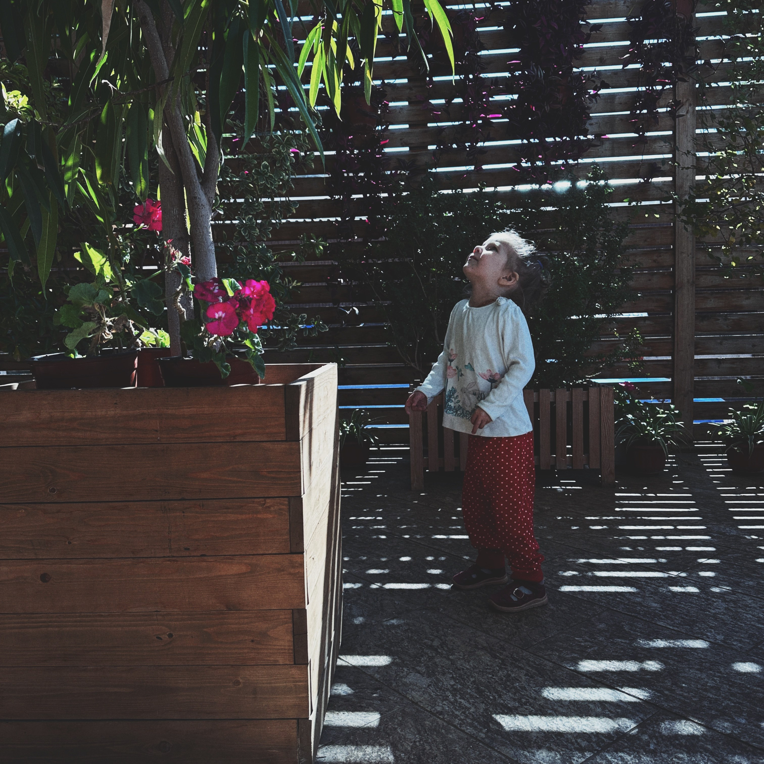 Дети. Смотри, красота!