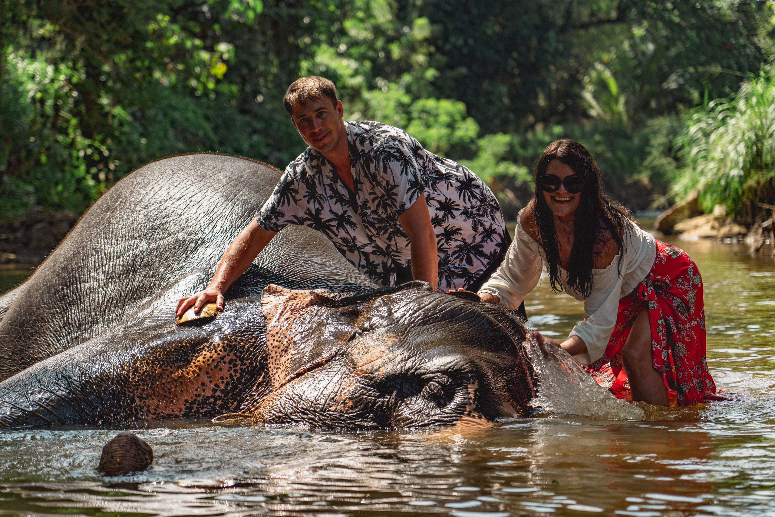 Bathing with elephants in Pinnawala, Botanical Garden