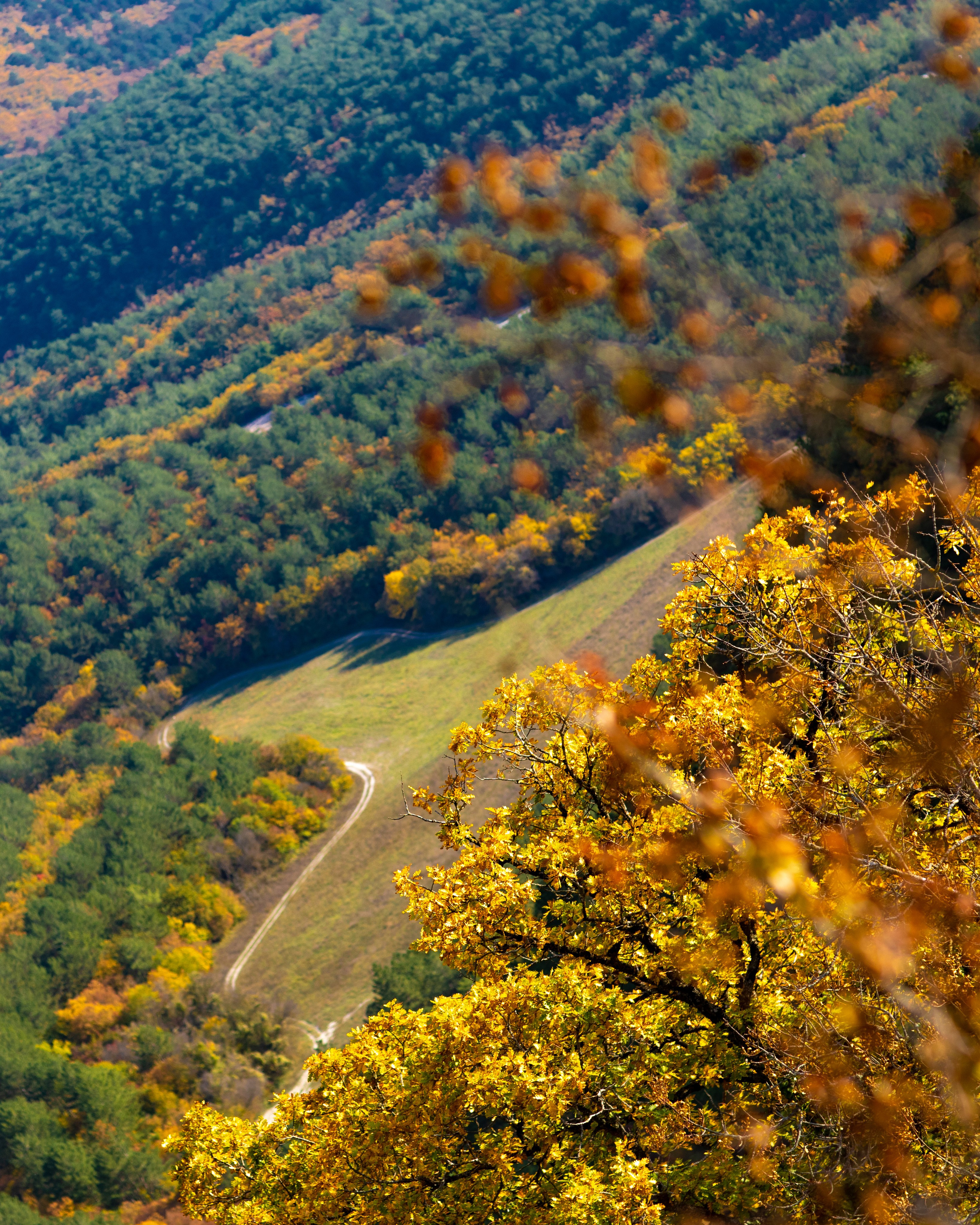ШУЛДАН. Фотограф Севастополь/Крым Светлана Евтушенко