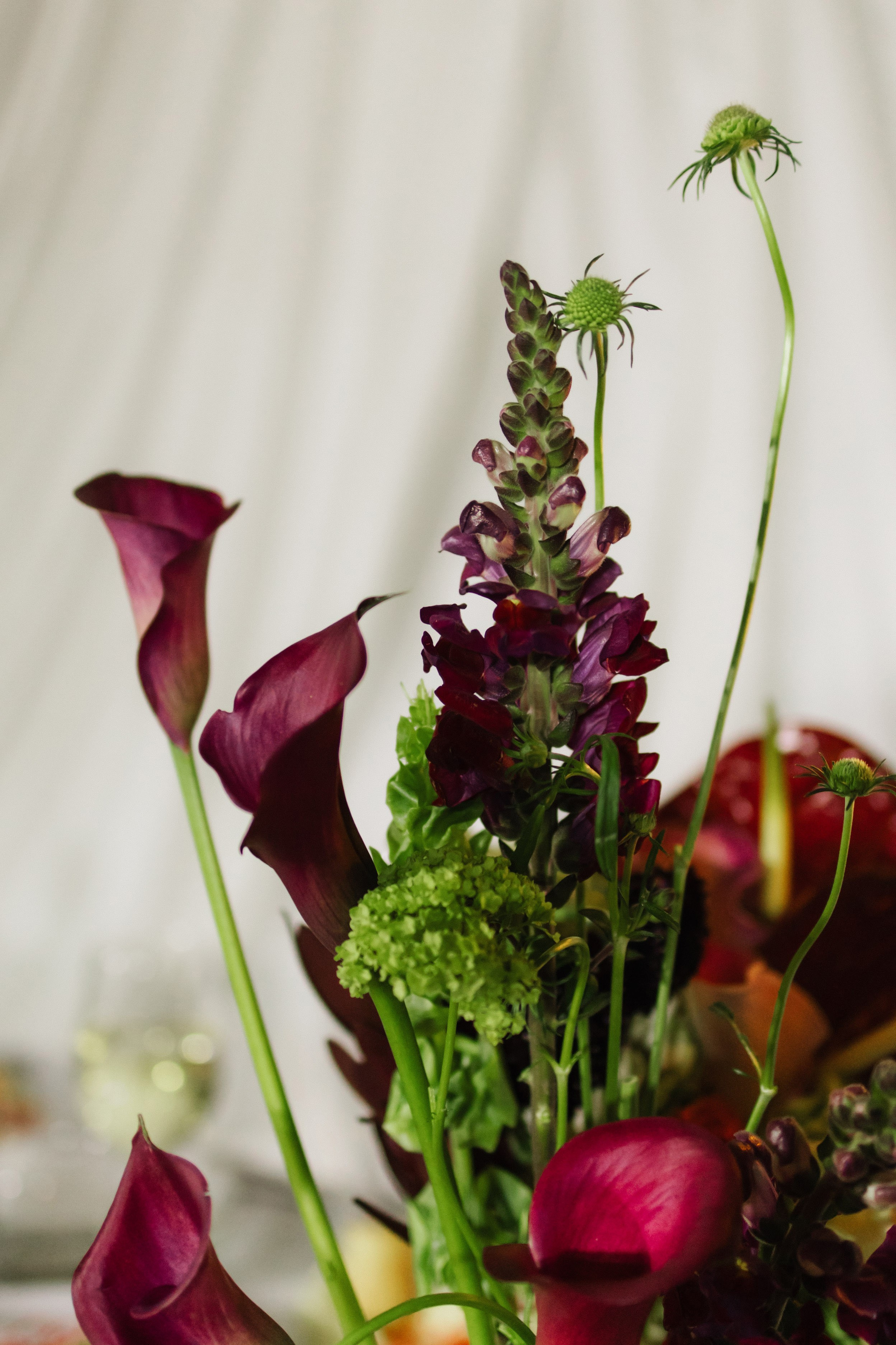 Алексей и Елена. Профессиональная видео и фото съёмка в Калуге и области