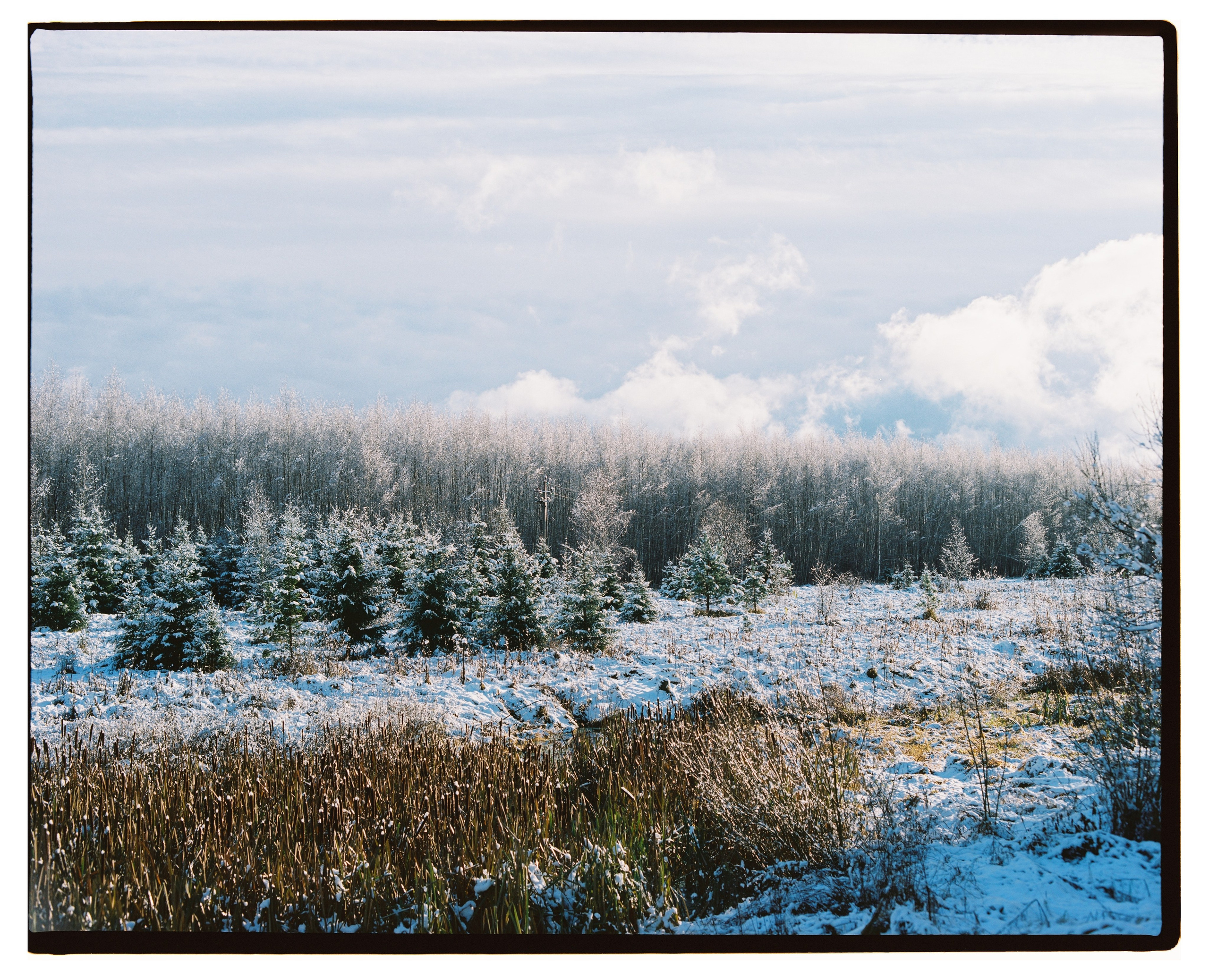 Примеры фотографий Pentax 67 объектив SMC Pentax 67 105mm f2.4